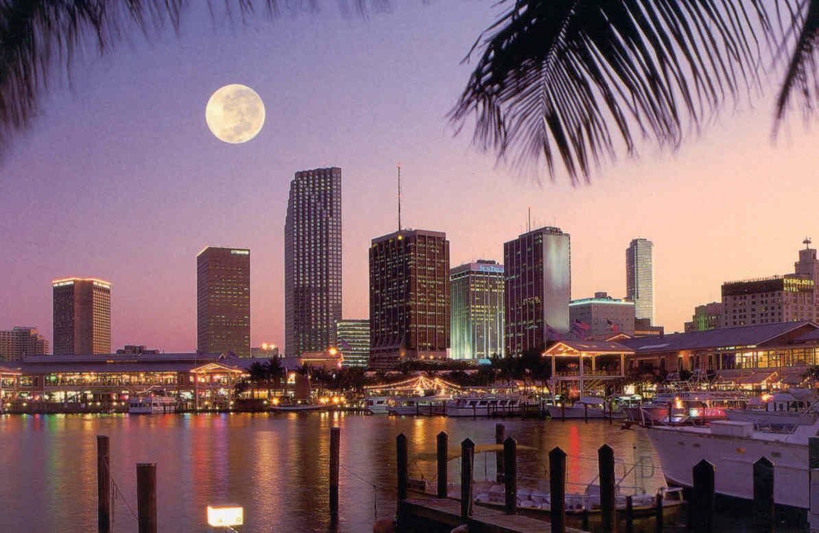 1194x777 Miami Skyline Wallpaper