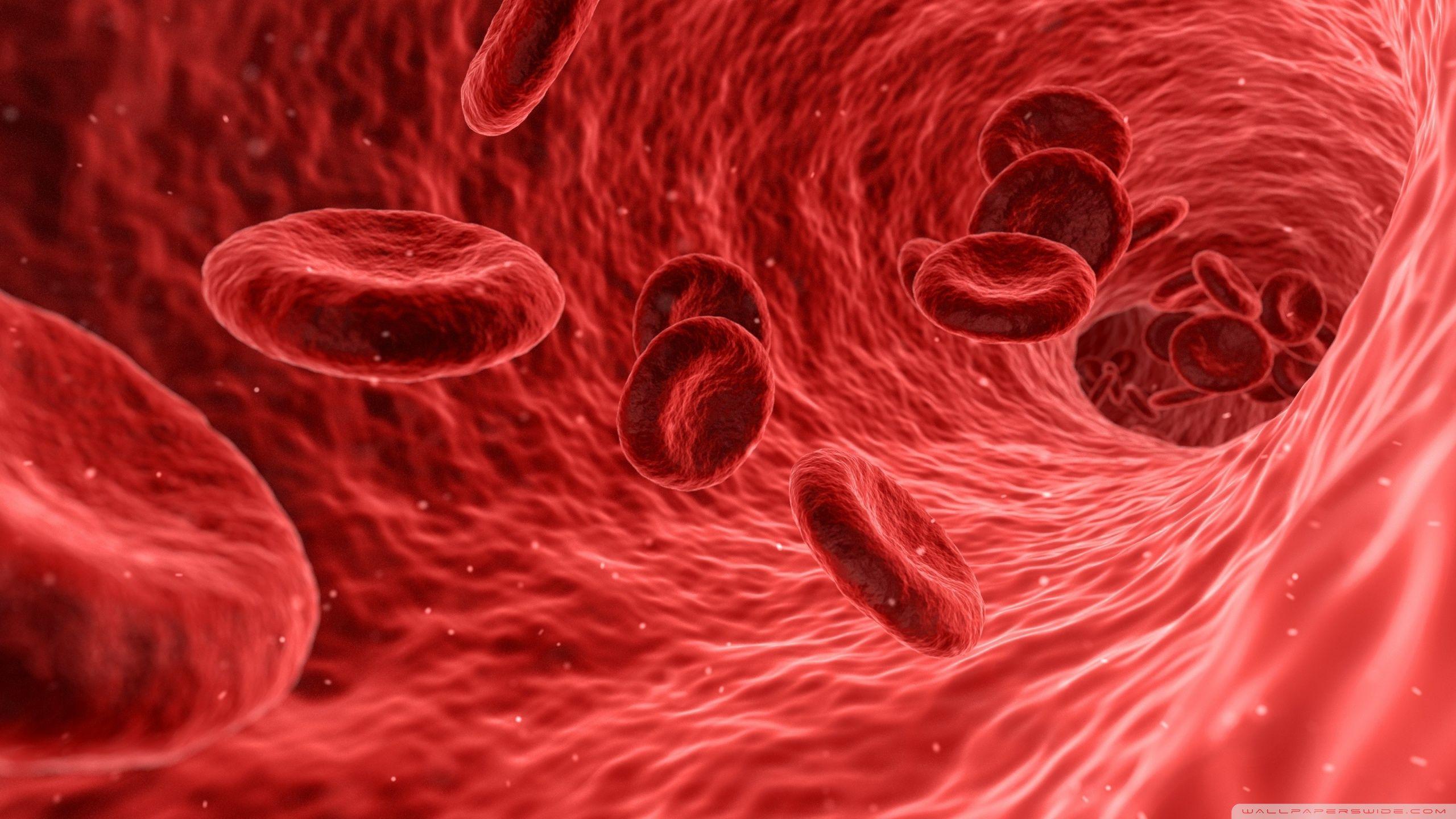 2560x1440 Microscope Wallpaper