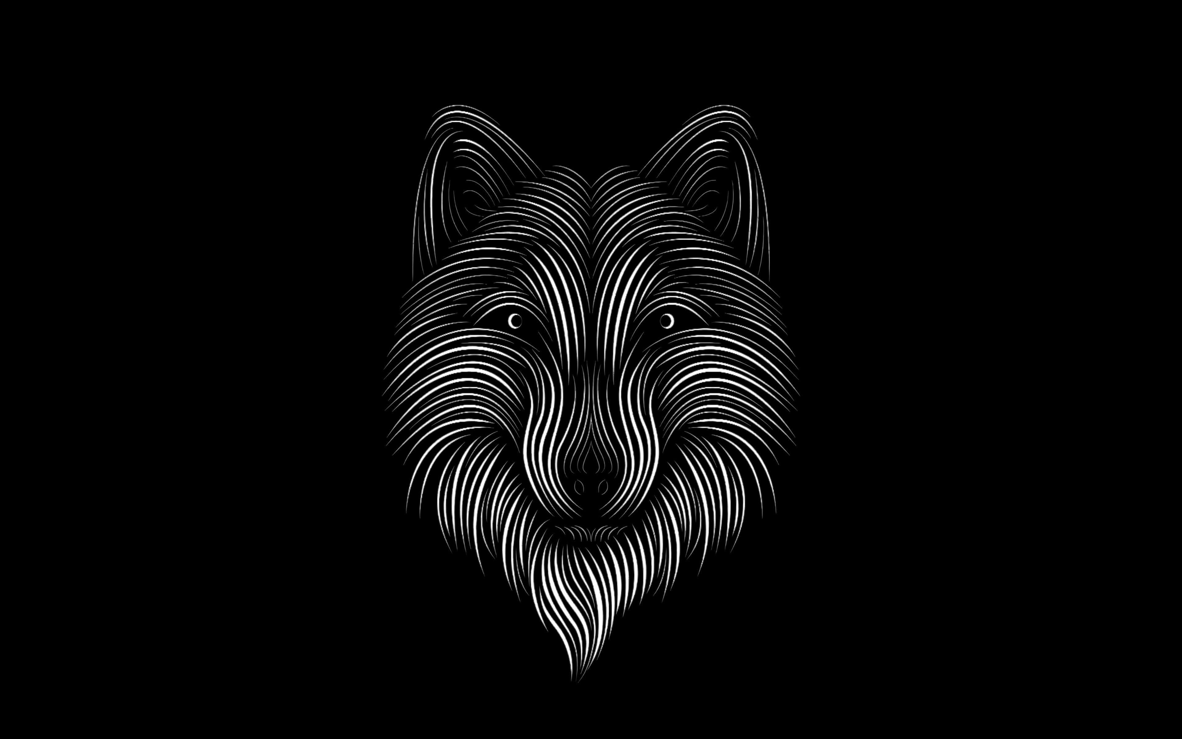 Dark Fox Wallpapers - Top Free Dark Fox Backgrounds - WallpaperAccess