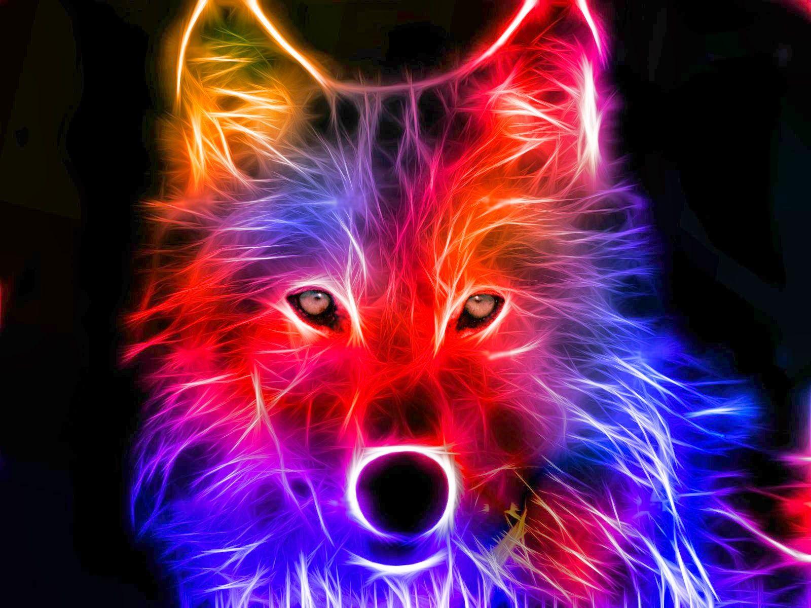 Colorful Fox Wallpapers - Top Free Colorful Fox Backgrounds ...