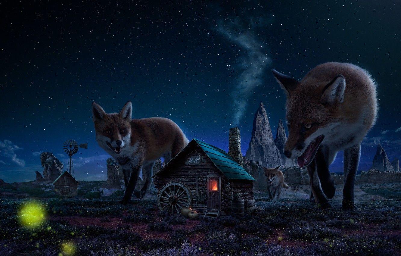 1332x850 Wallpaper night, house, figure, Fox image for desktop, section фантастика