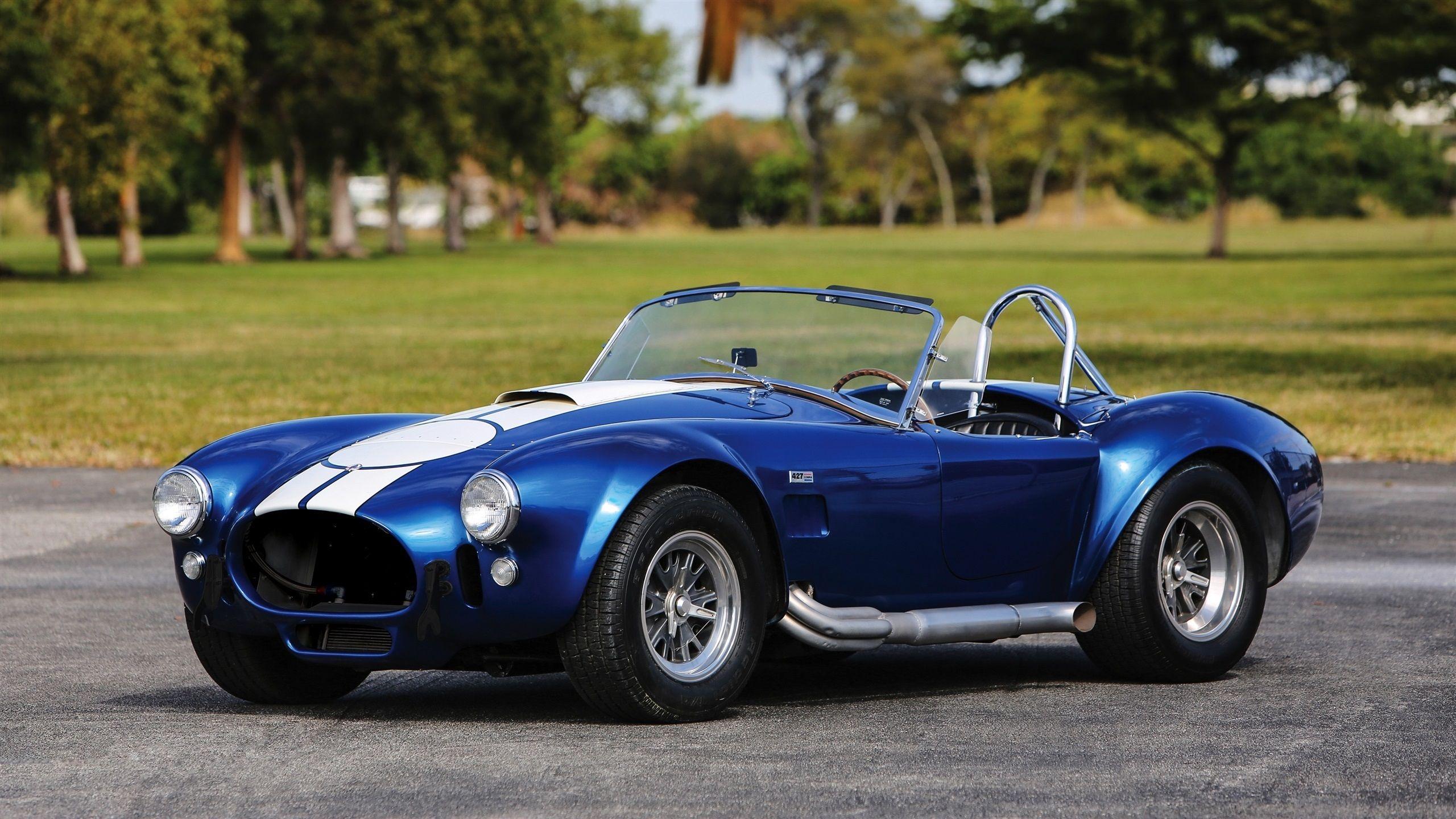 2560x1440 Shelby Cobra 427 Blue Cars Nature Grass Trees Asphalt Wallpaper:2560x1440