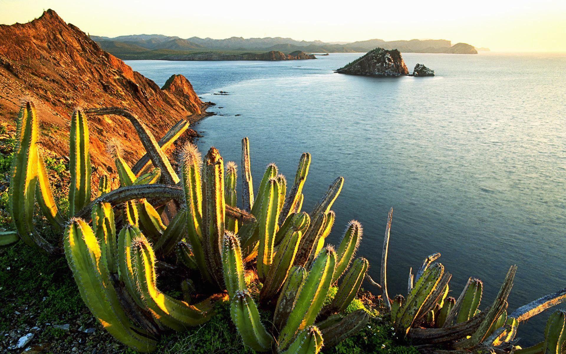 1920x1200 Cool Mexican