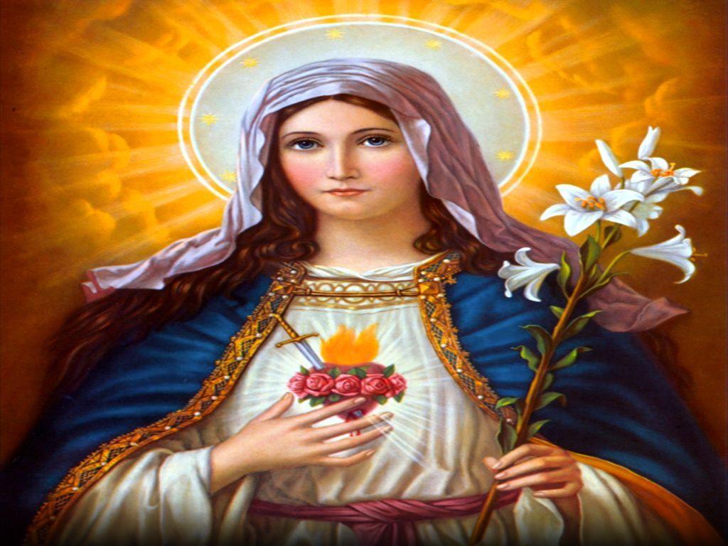 1024x768 Hình nền trái tim vô nhiễm nguyên tội của Mary https://wallpaperaccess.com/full/4092813.jpg