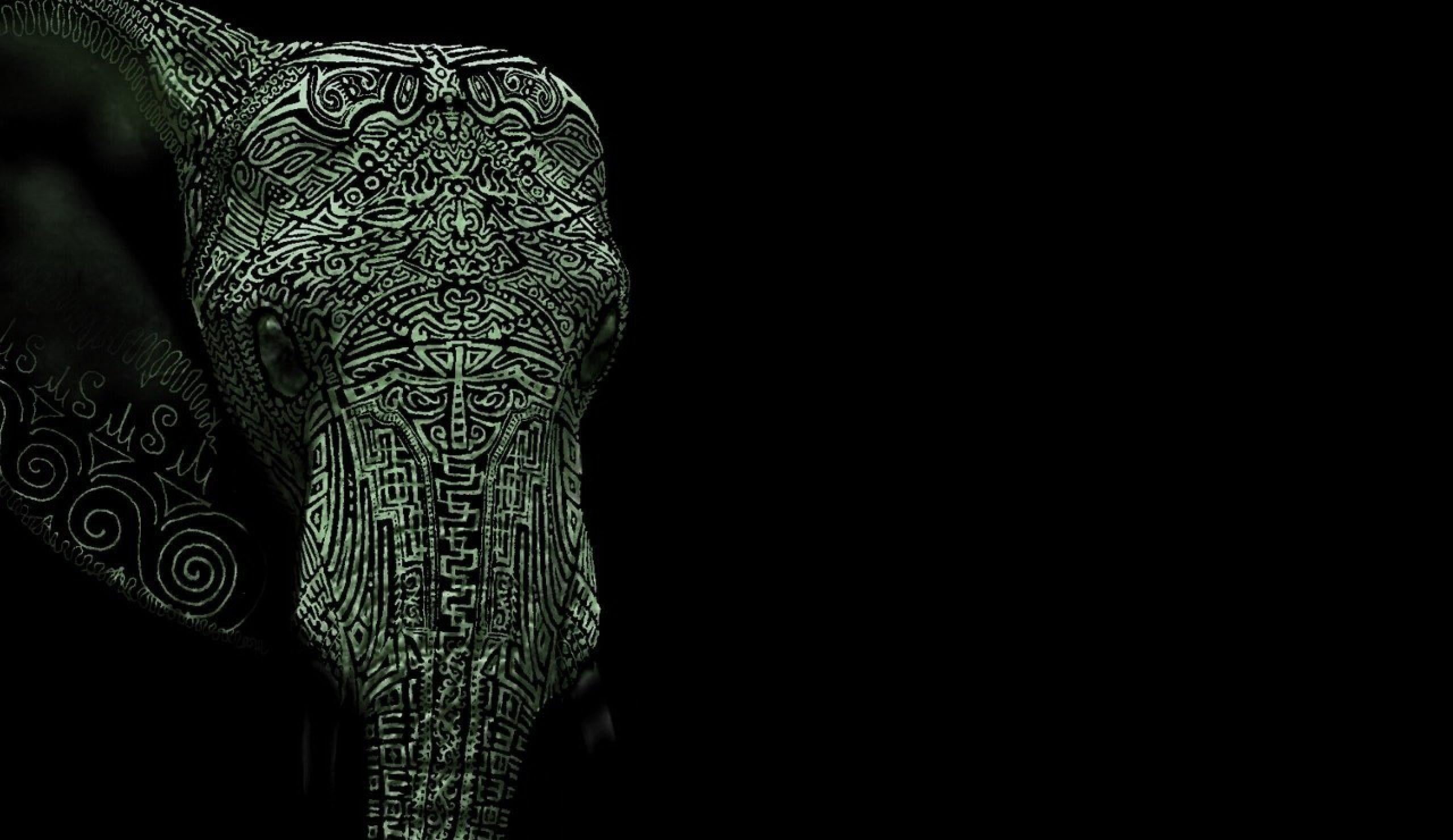 2560x1480 White Elephant Wallpaper