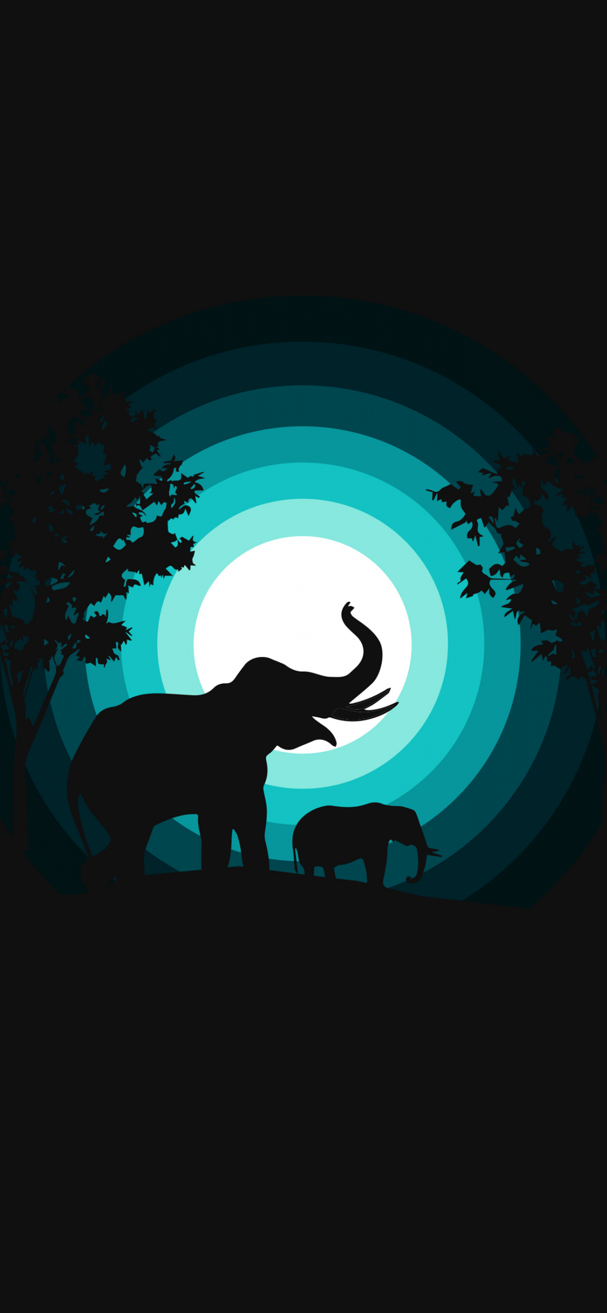 1242x2688 Elephant 4K Wallpaper, cub, Silhouette, Night, Teal, Black background, Black /Dark