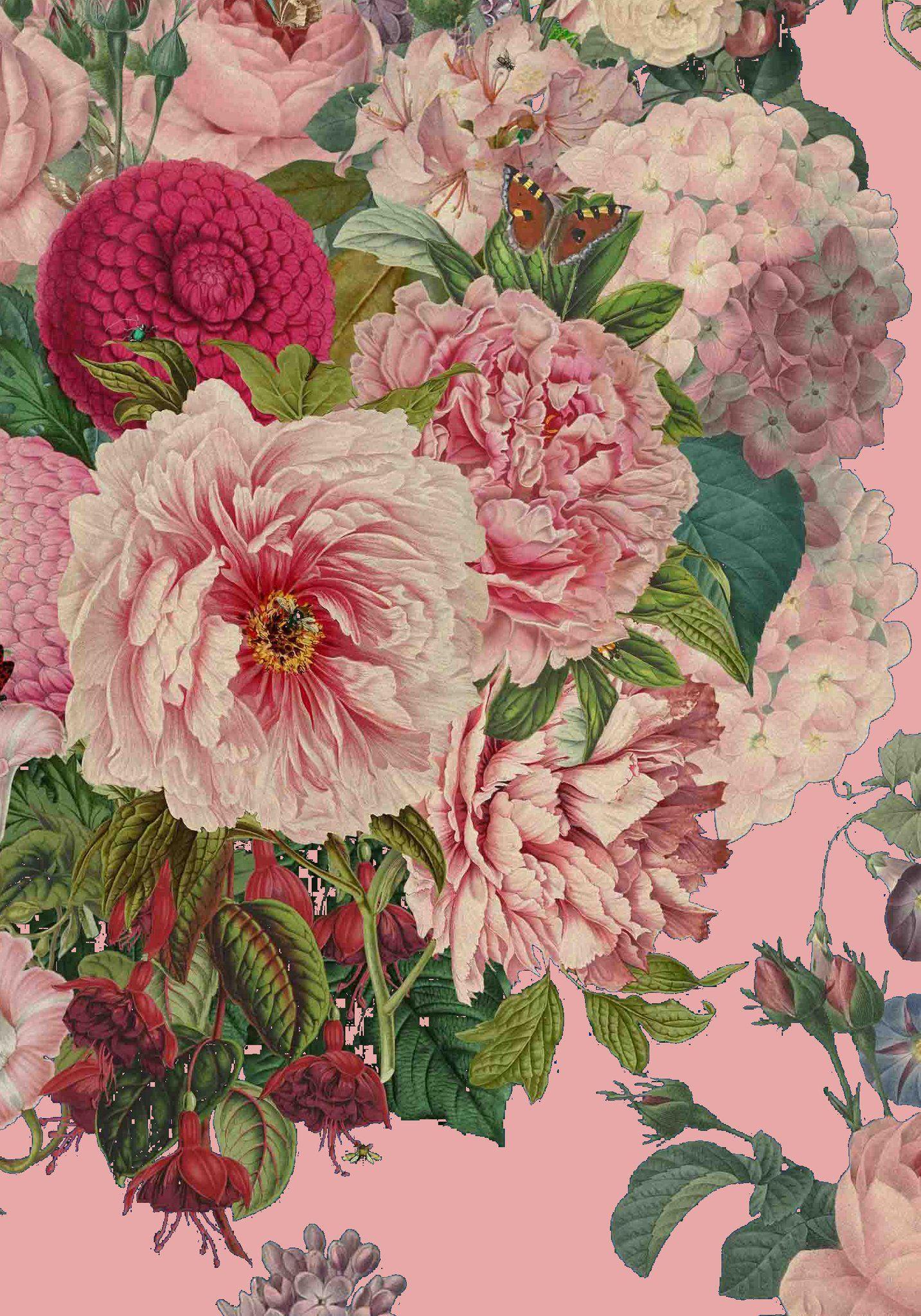 1433x2048 Pink Velvet Floral Wallpaper