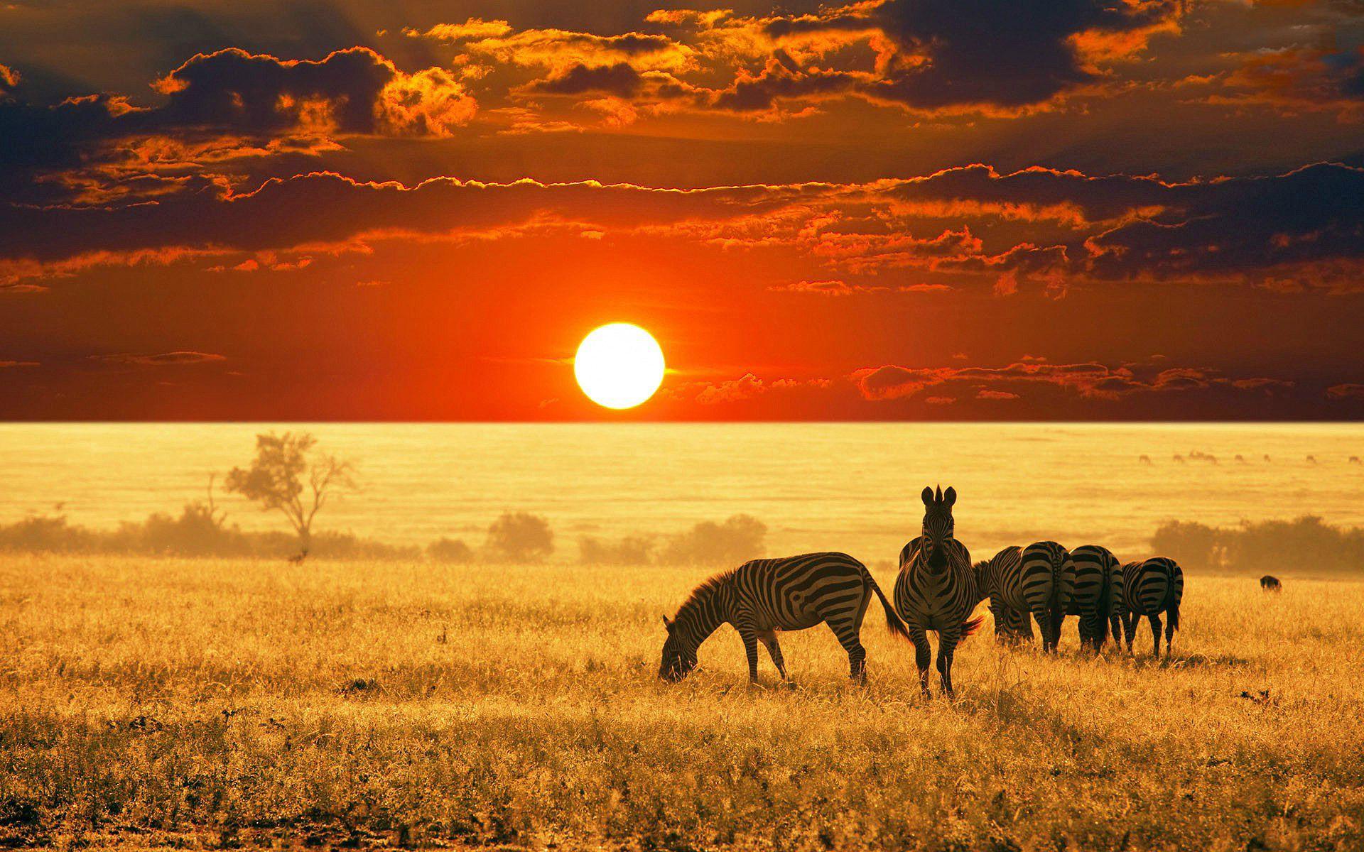 African Sunrise Wallpapers - Top Free African Sunrise Backgrounds