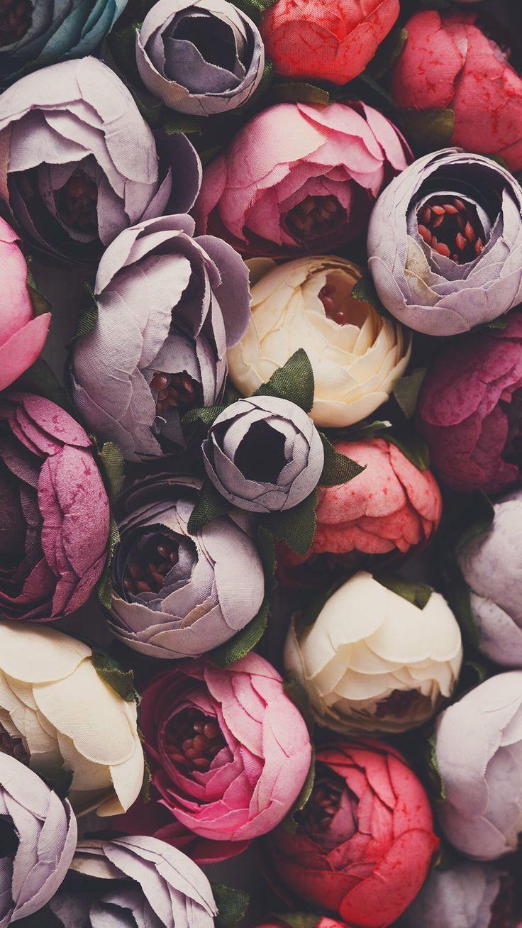 736x1308 color #flowers # Kinder - #Color #Flowers #Geburtstagskuchen #Kinder. Floral wallpaper, Flower wallpaper, Flower aesthetic