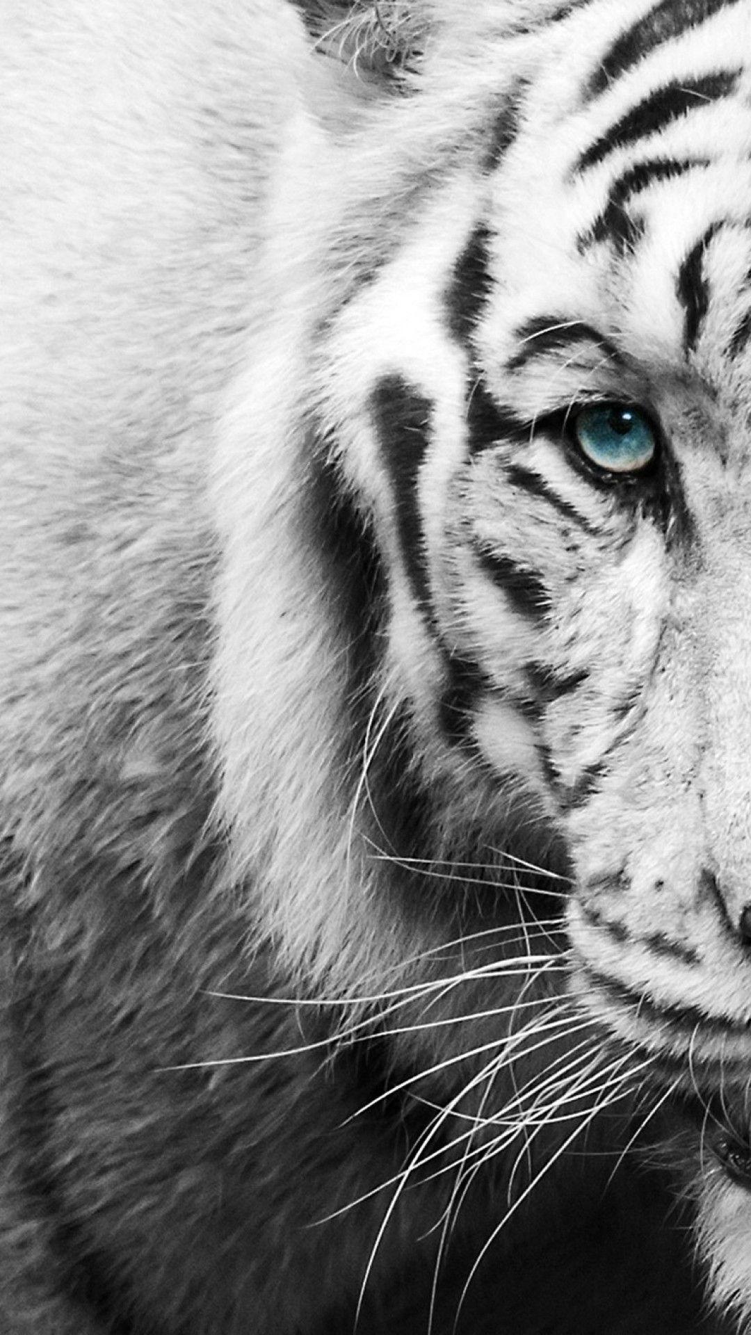 1080x1920 White And Black Animals Wallpaper