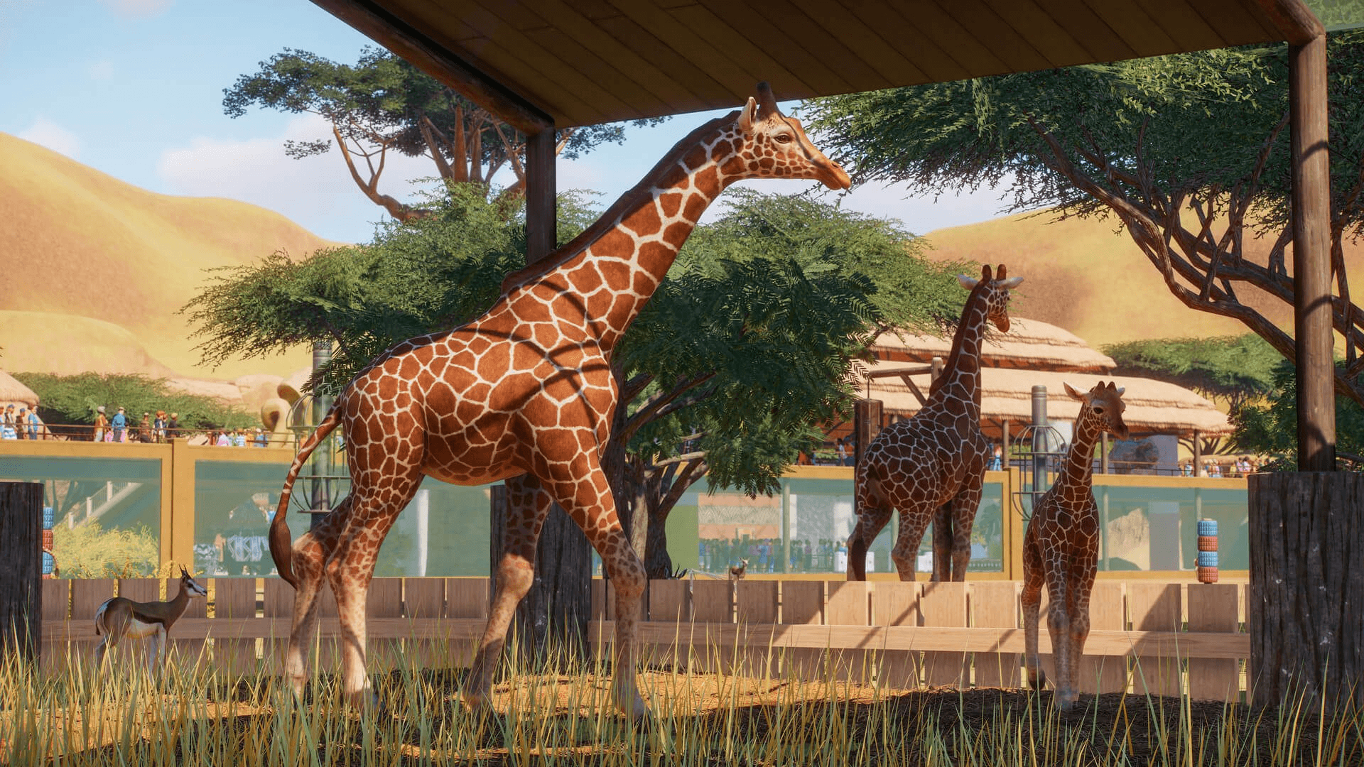 1920x1080 Planet Zoo Wallpaper