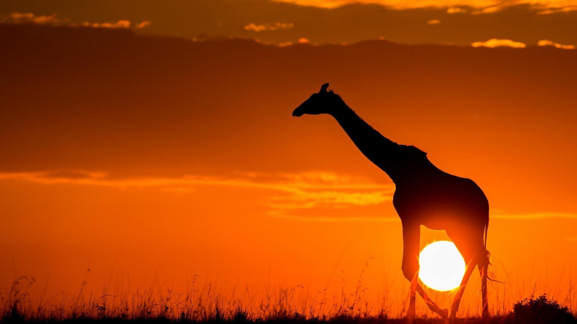 African Sunrise Wallpapers - Top Free African Sunrise Backgrounds