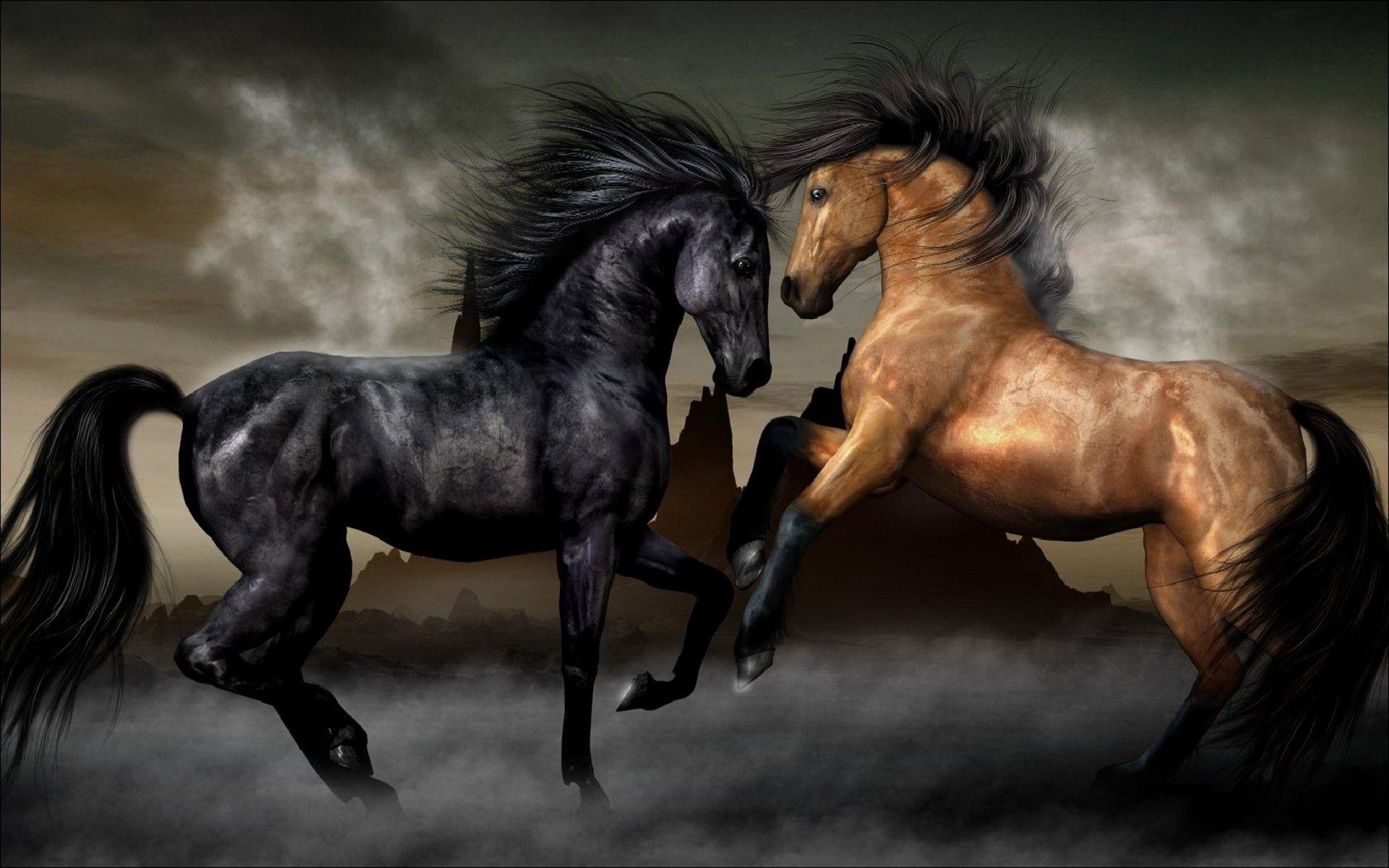 1920x1200 Two Horses Black And Brown Wallpaper HD :