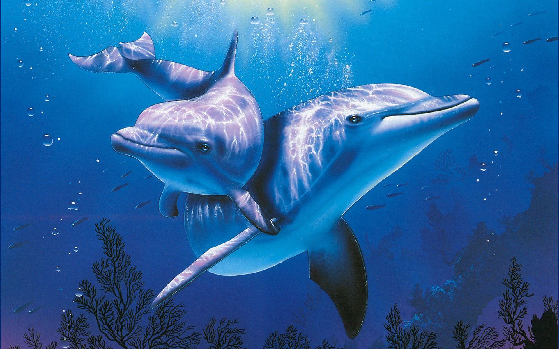 1920x1200 Life, Sea Horror, Smart Phones Ios, Wallpaper, dolphins, Wildlife, Free , Ocean, Underwater, 1920x1200