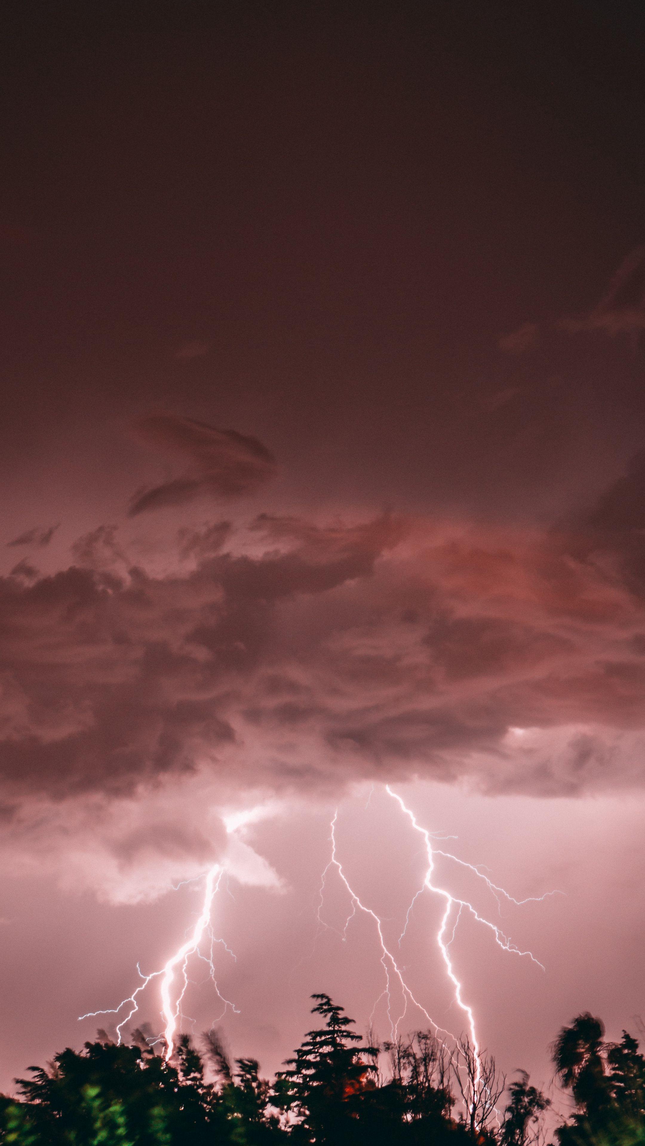 2160x3840 Download wallpaper 2160x3840 lightning, thunderstorm, trees, pink samsung galaxy s s note, sony xperia z, z z z htc one, lenovo vibe HD background
