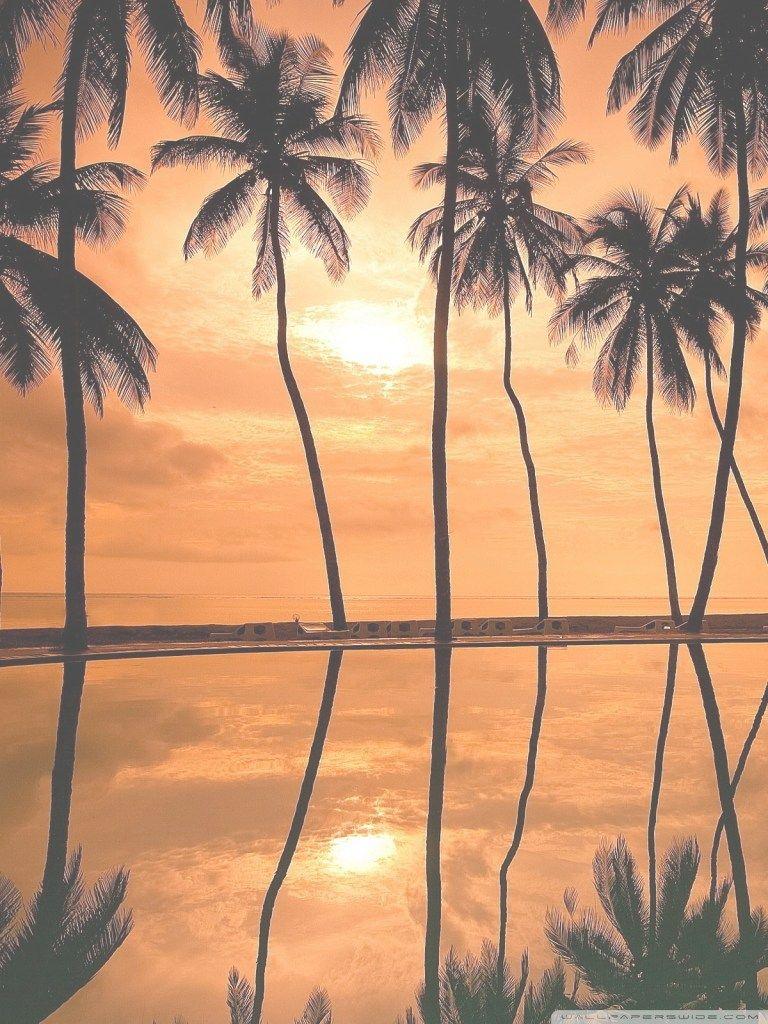 768x1024 Beach Sunset Wallpaper 4k