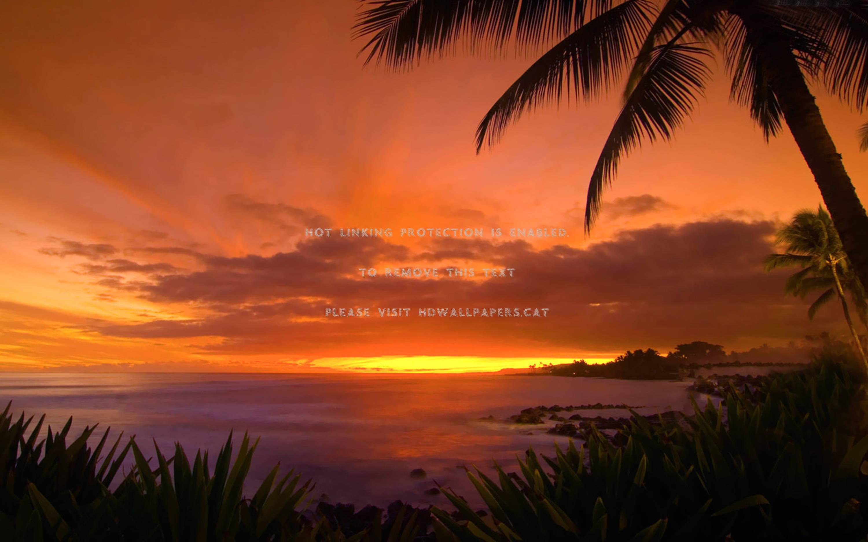 3000x1873 tropical island sunset exotic twilight dusk