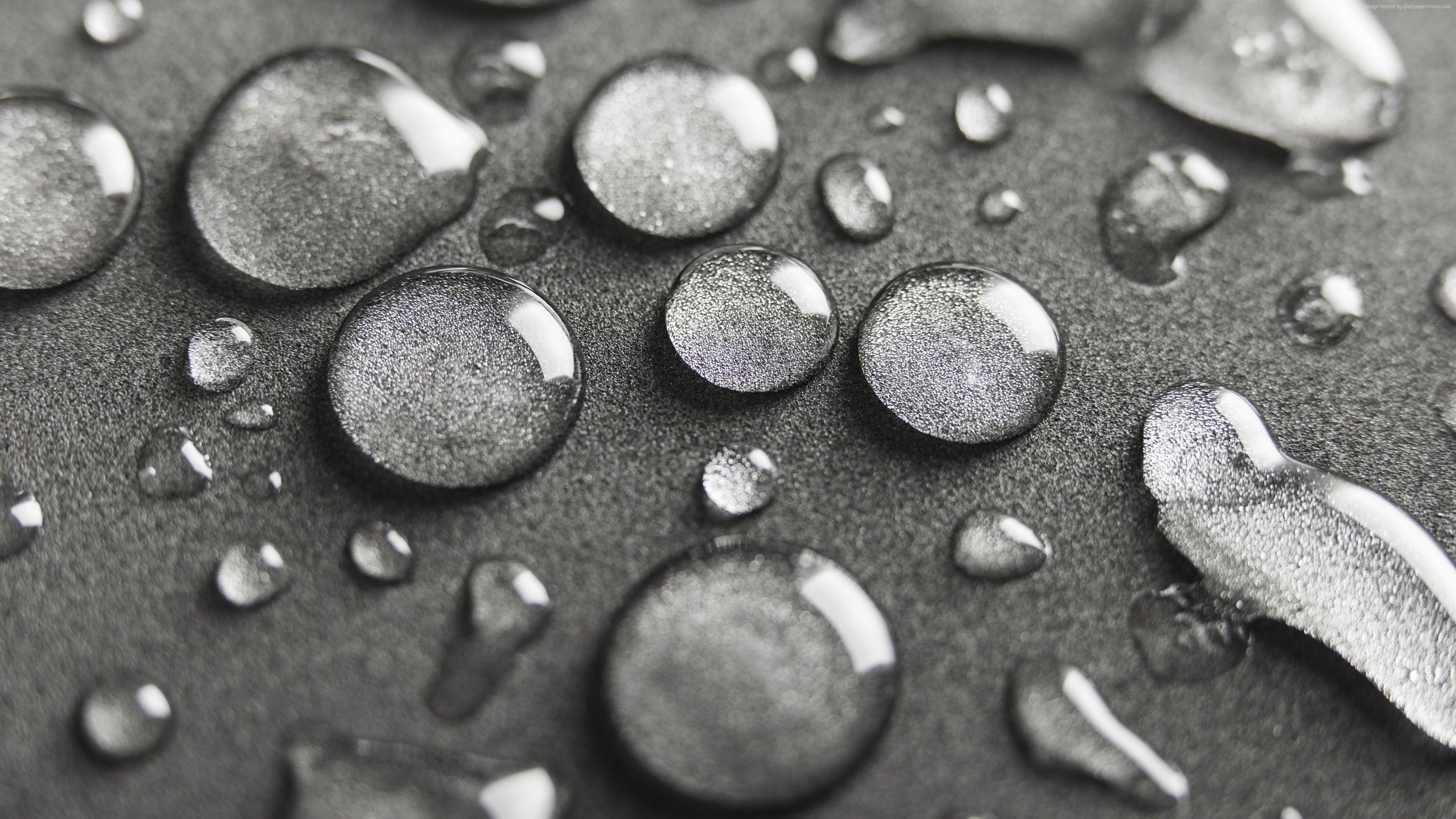 3840x2160 Wallpaper Water drops, macro, 5K, Abstract Wallpaper Download Resolution 4K Wallpaper