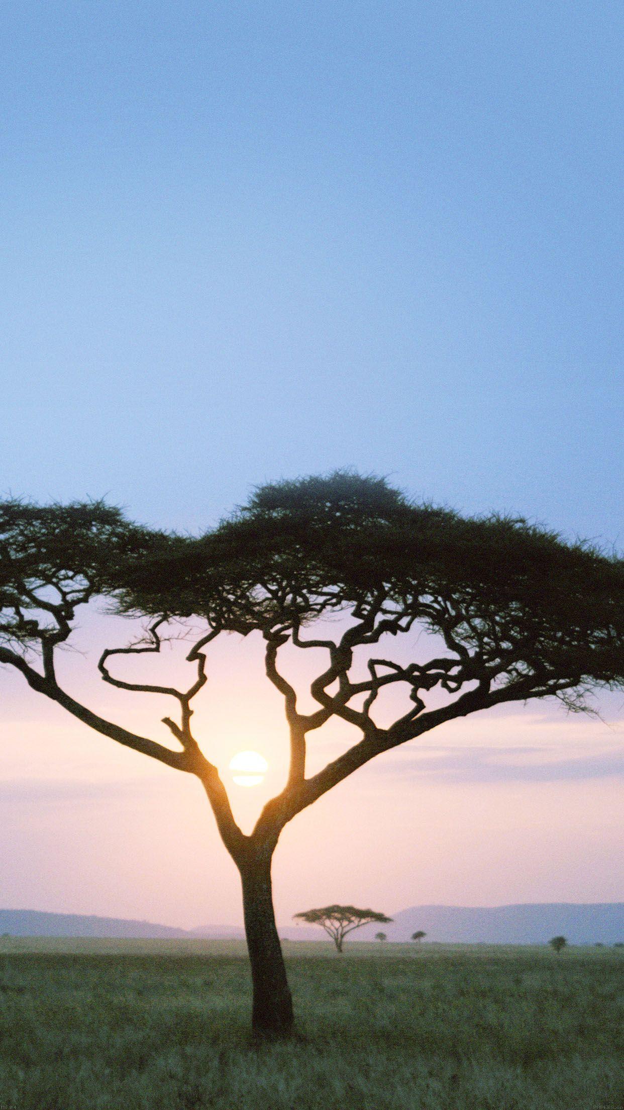 African Sunrise Wallpapers Top Free African Sunrise Backgrounds