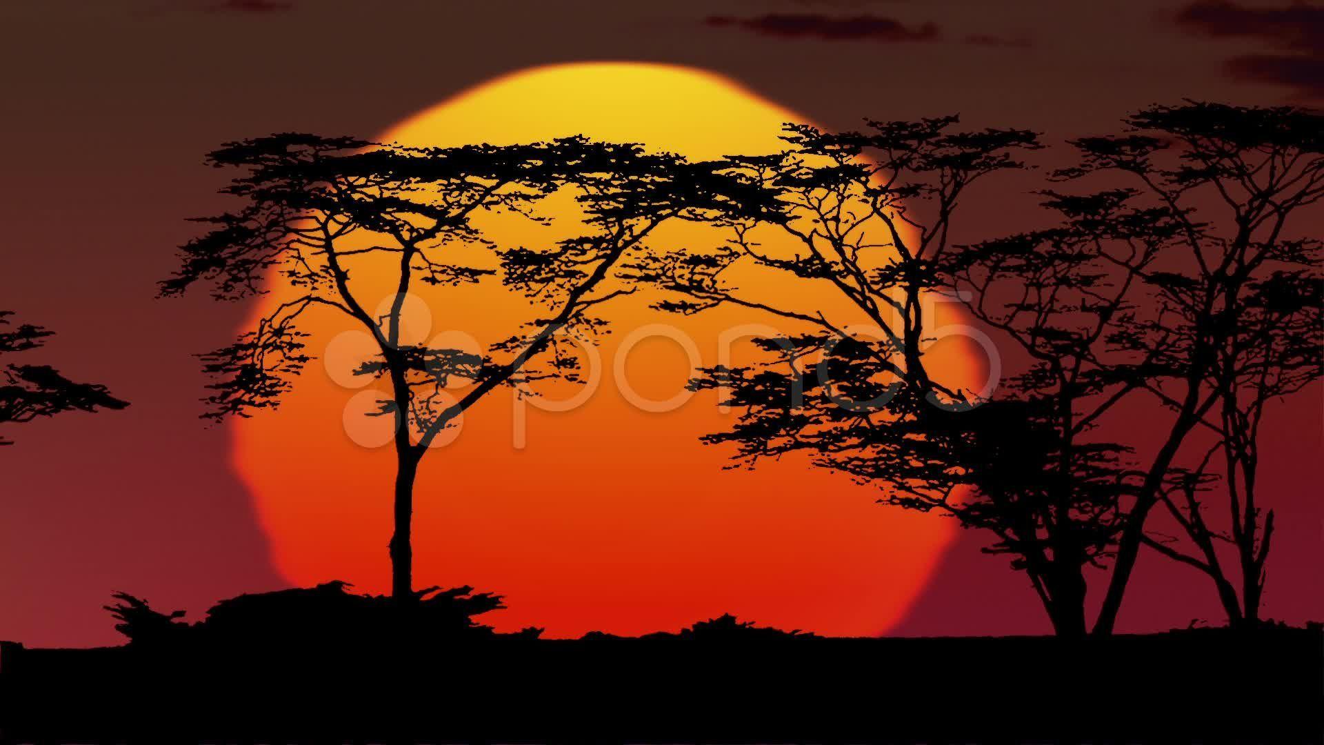 African Sunrise Wallpapers - Top Free African Sunrise Backgrounds