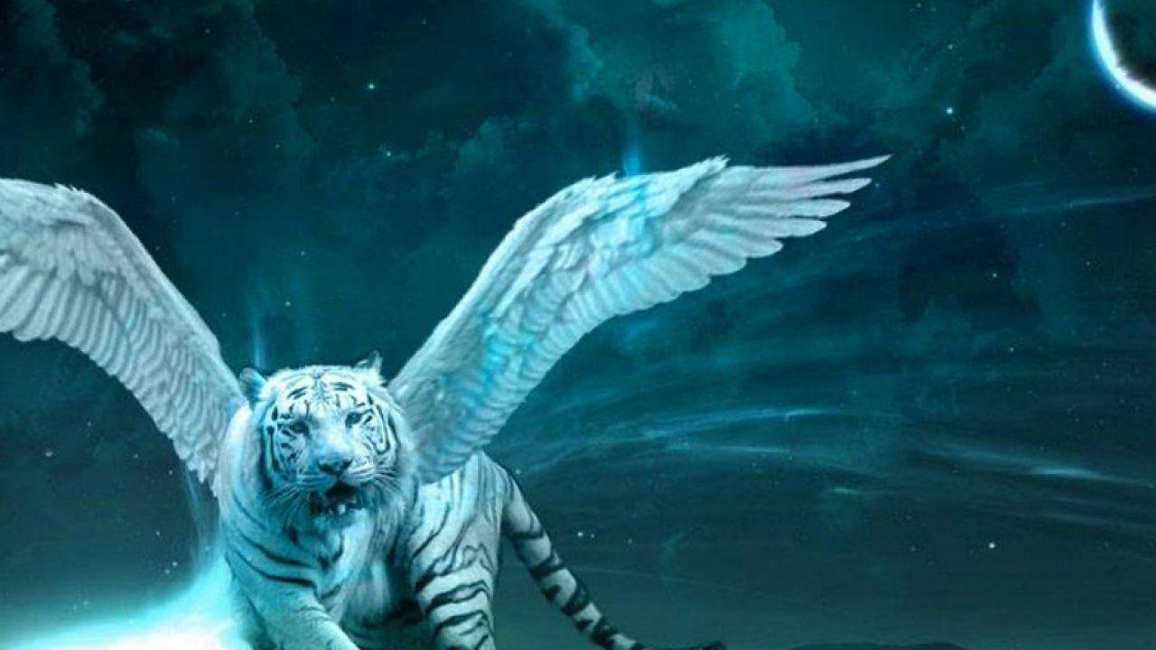 1280x720 Wild Animal Wallpaper, Animal Kingdom, Free Wallpaper, Wallpaper Animals