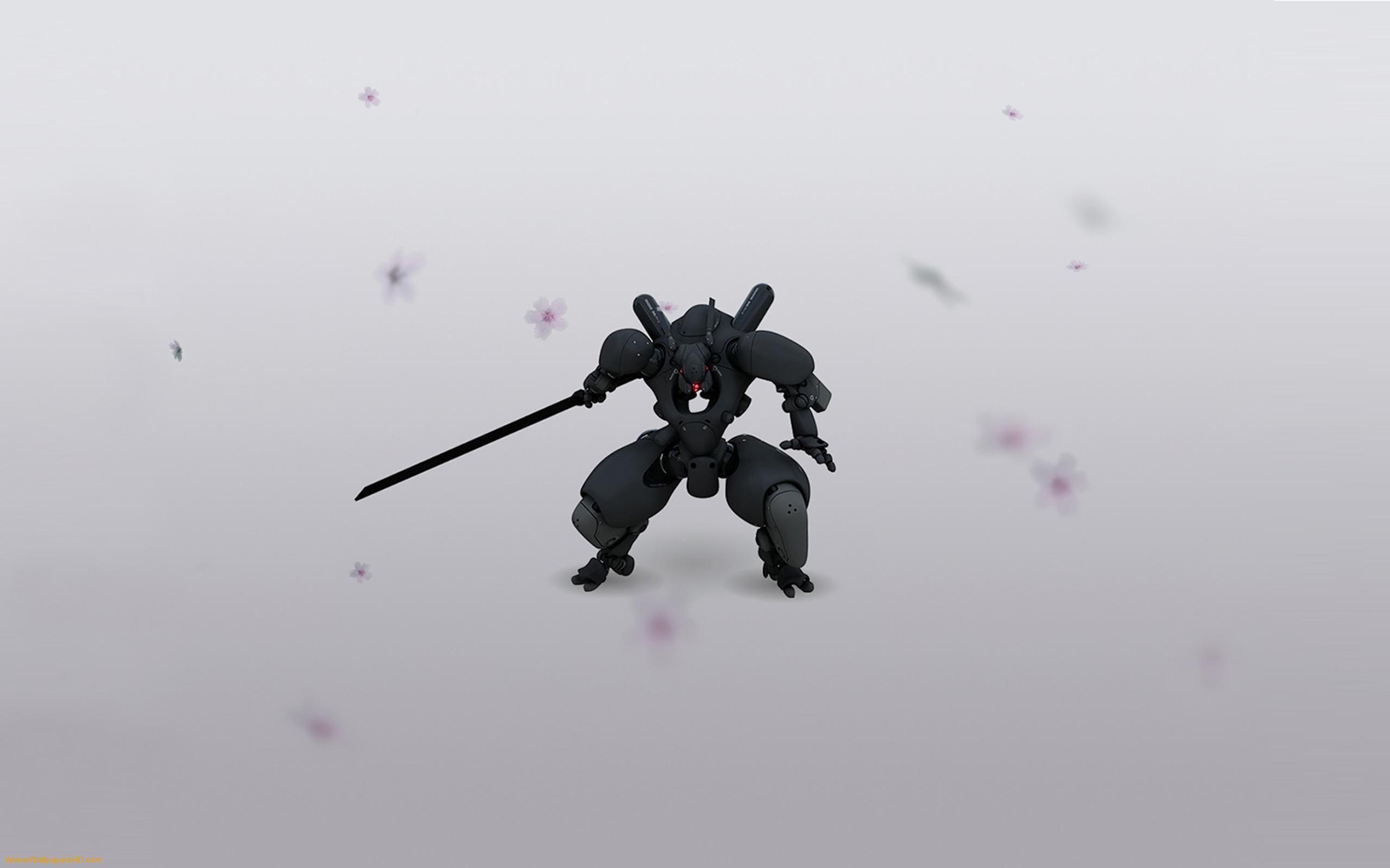 2560x1600 Free Ninja Wallpaper Download