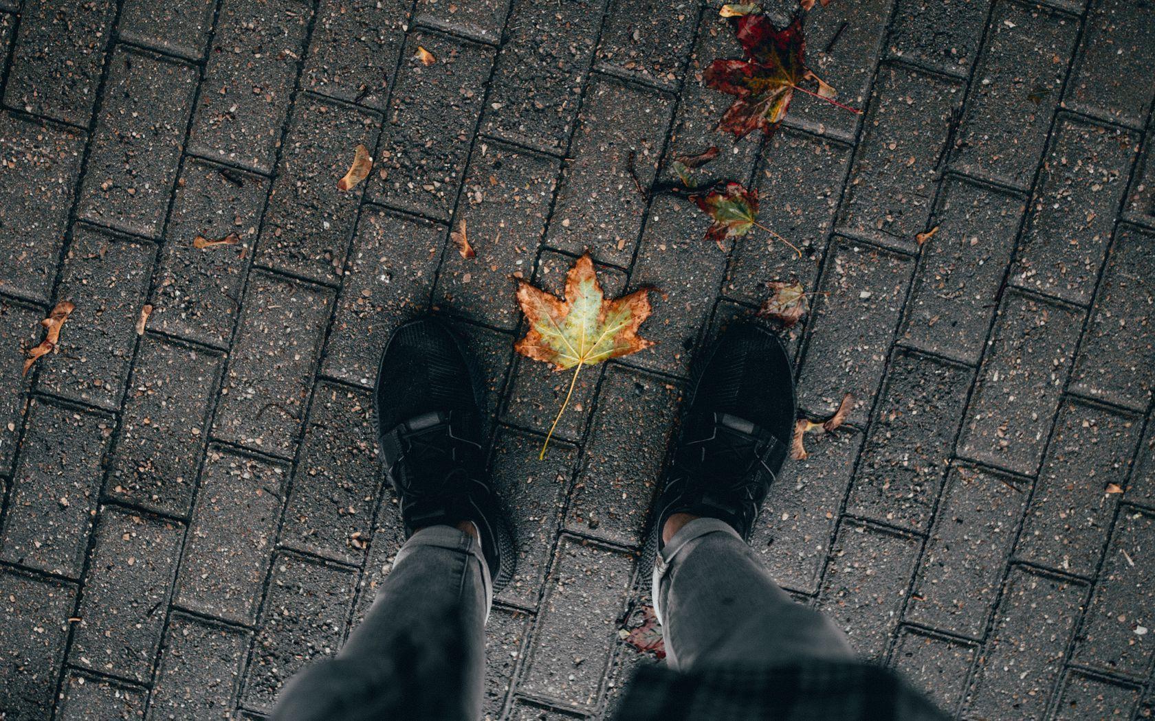1680x1050 Download wallpaper 1680x1050 legs, paving stones, leaves, dry, autumn widescreen 16:10 HD background