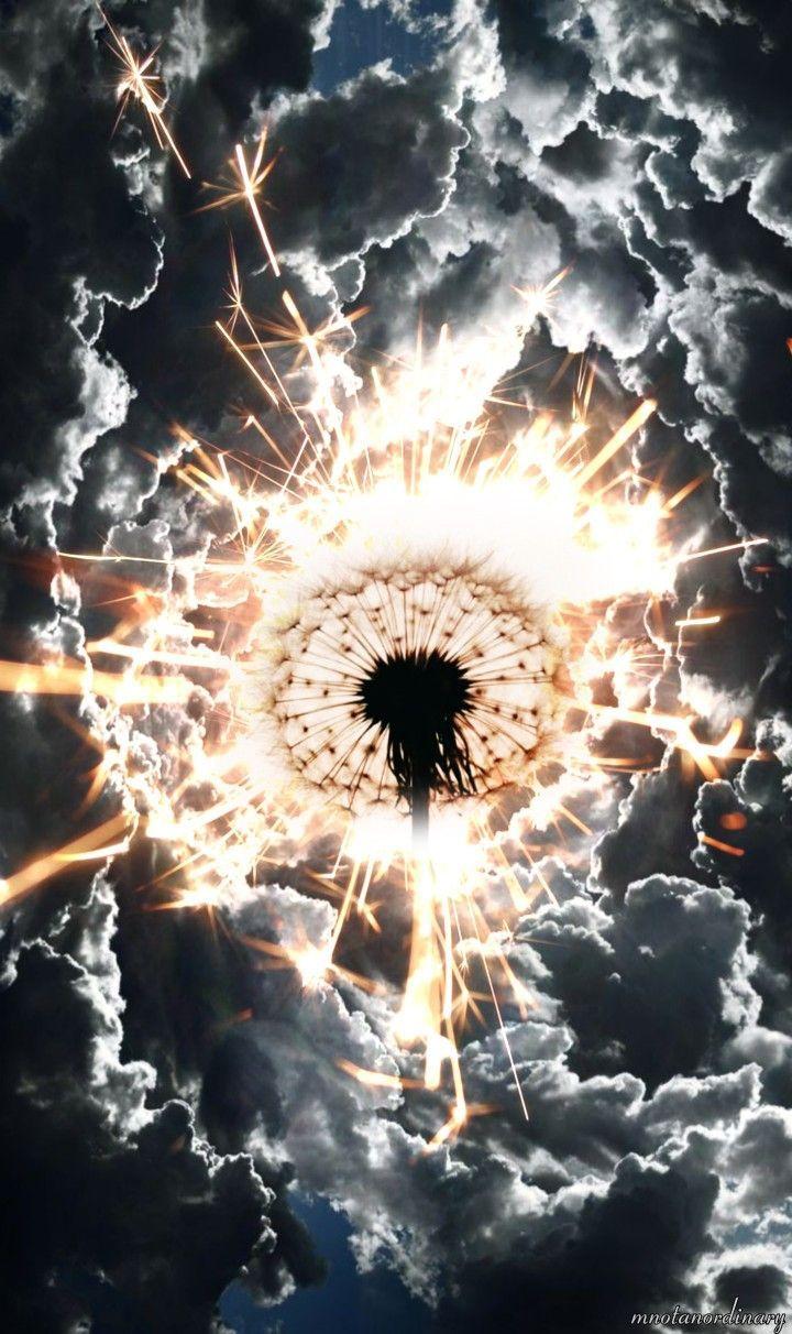 720x1212 Dandelion sparkle clouds storm wallpaper. Storm wallpaper, Anime art, Star tattoos