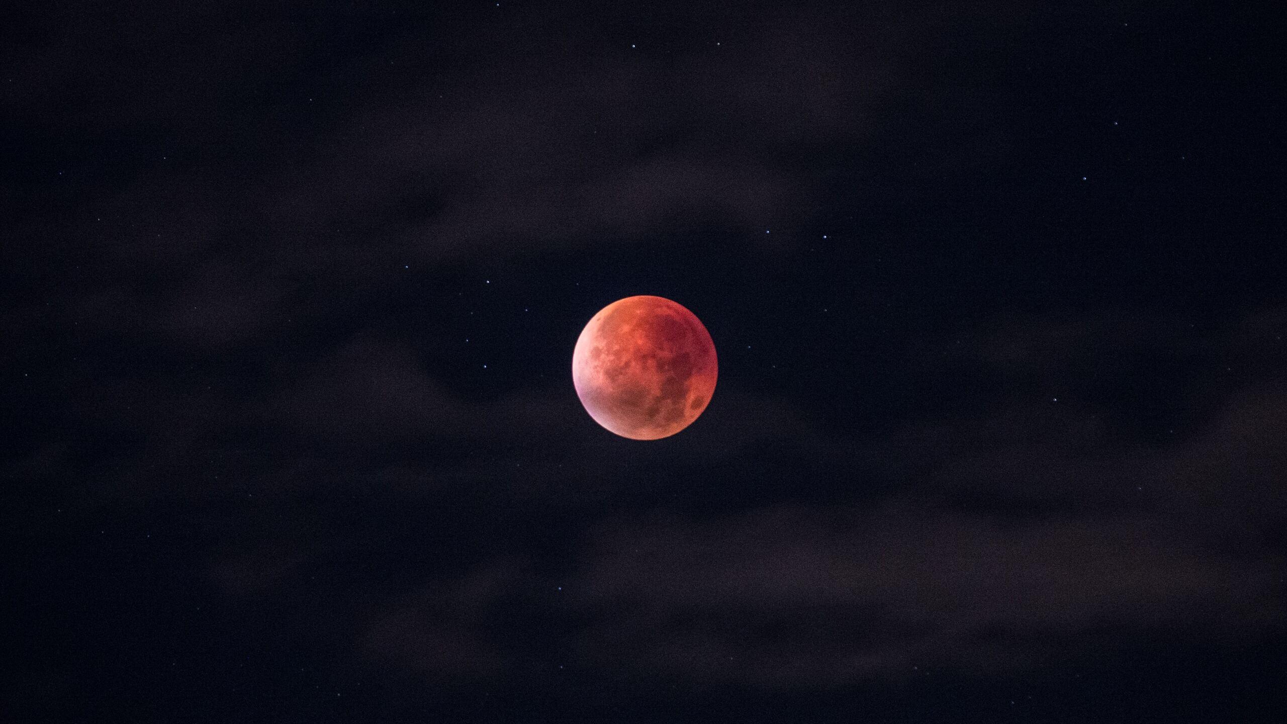 2560x1440 Blood Moon 1440P Resolution HD 4k Wallpaper, Image, Background, Photo and Picture