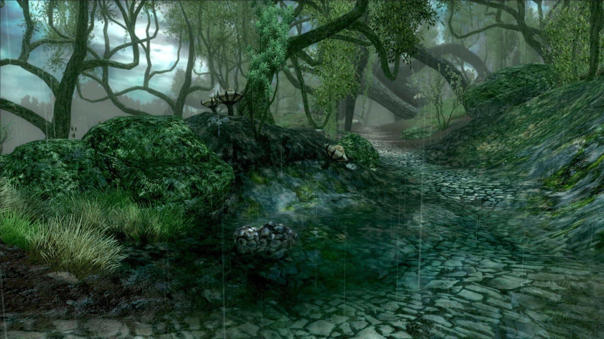 1920x1080 Desktop Elder Scrolls Oblivion HD Wallpaper