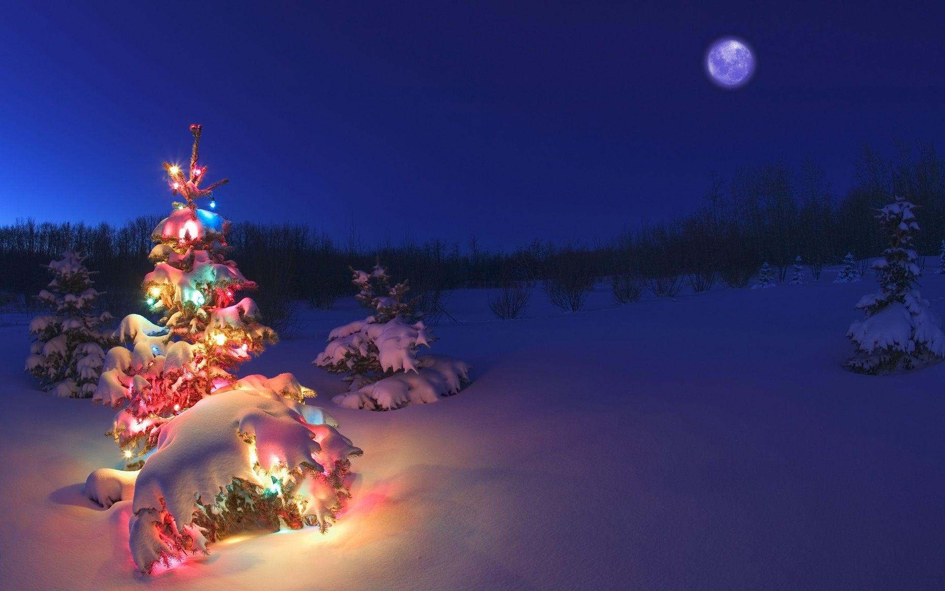 1920x1200 Free download Christmas Computer Wallpaper Desktop Background 1920x1200 ID [1920x1200] for your Desktop, Mobile & Tablet. Explore 1920x1200 Christmas Desktop Wallpaper. High Resolution Desktop Wallpaper 1920x Desktop Wallpaper 1920x1200