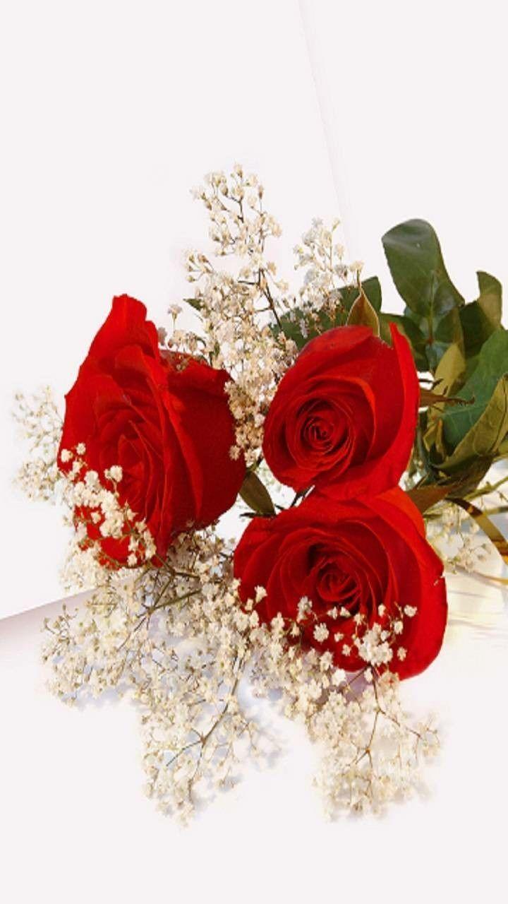 Roses Wedding Wallpapers Top Free Roses Wedding Backgrounds