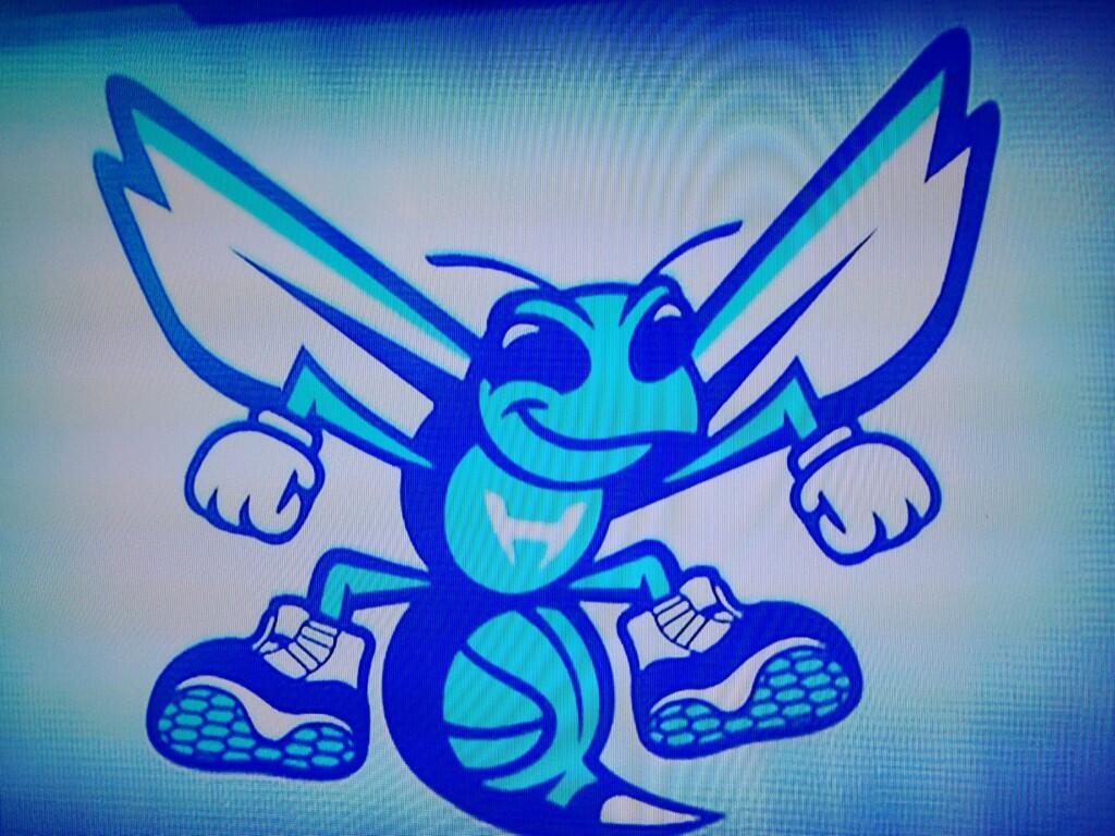 1024x768 Charlotte Hornets Desktop Background. Marble Hornets Wallpaper, Charlotte Hornets Wallpaper and MO Williams Hornets Wallpaper