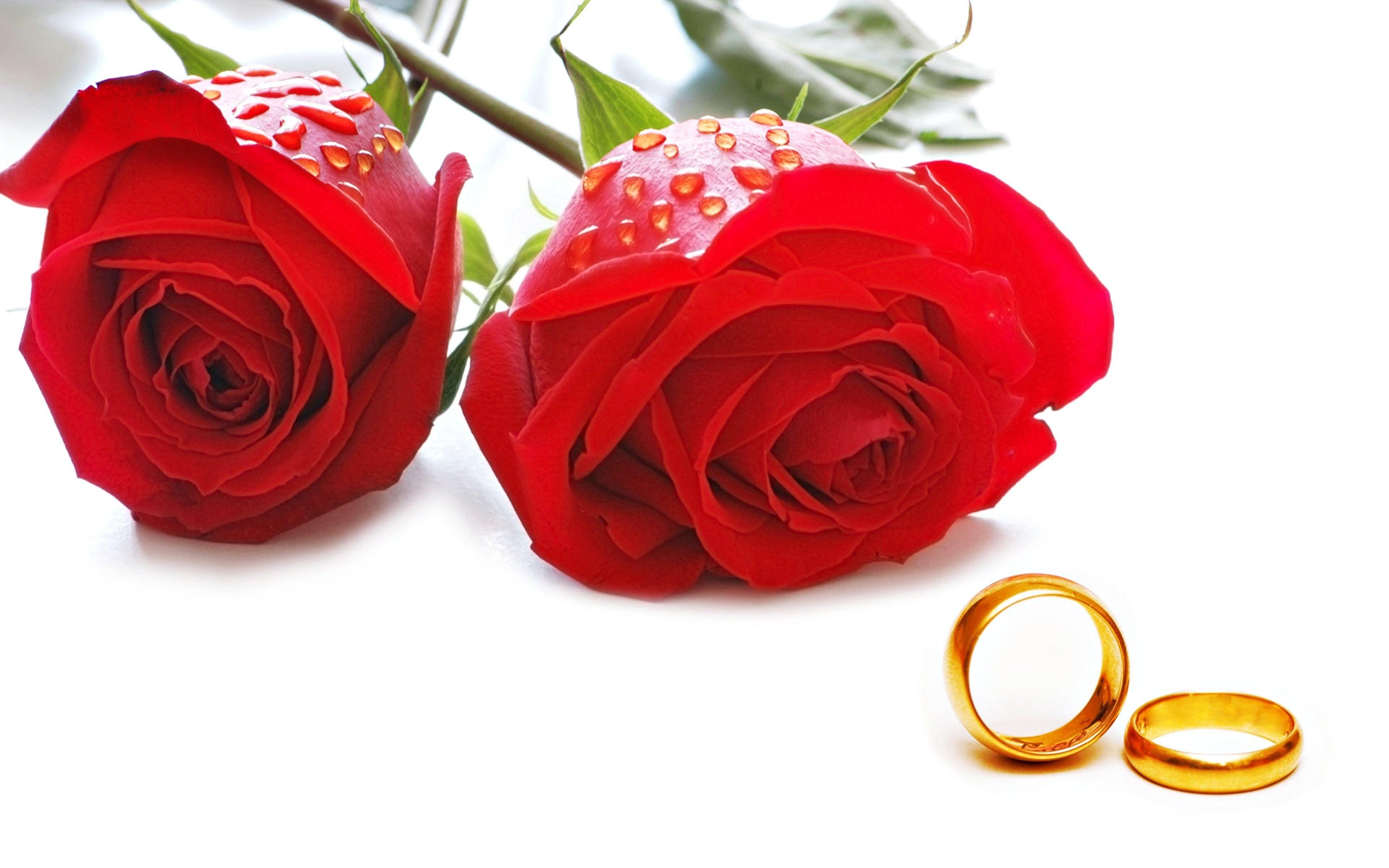 Roses Wedding Wallpapers - Top Free Roses Wedding Backgrounds