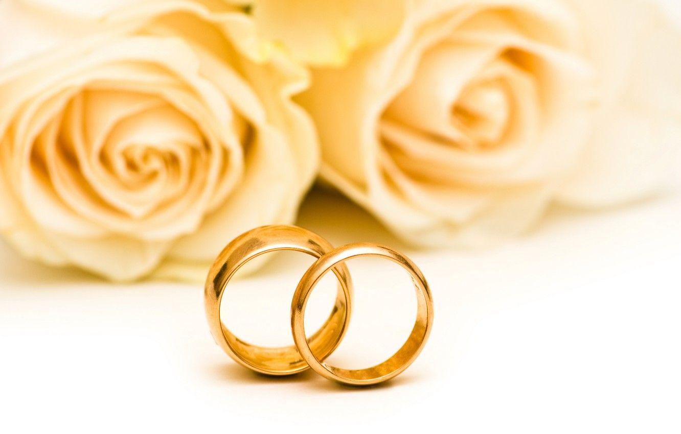 1332x850 Wallpaper flowers, roses, flowers, engagement rings, roses, wedding rings image for desktop, section праздники