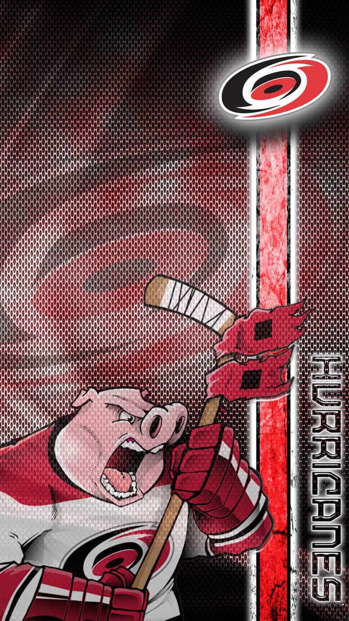 720x1280 Carolina Hurricanes wallpaper