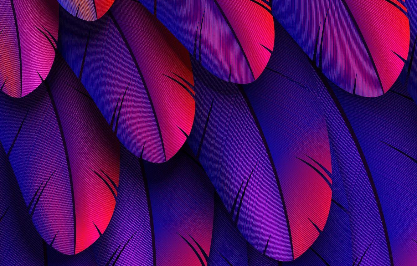 Colorful Feather Wallpapers - Top Free Colorful Feather Backgrounds