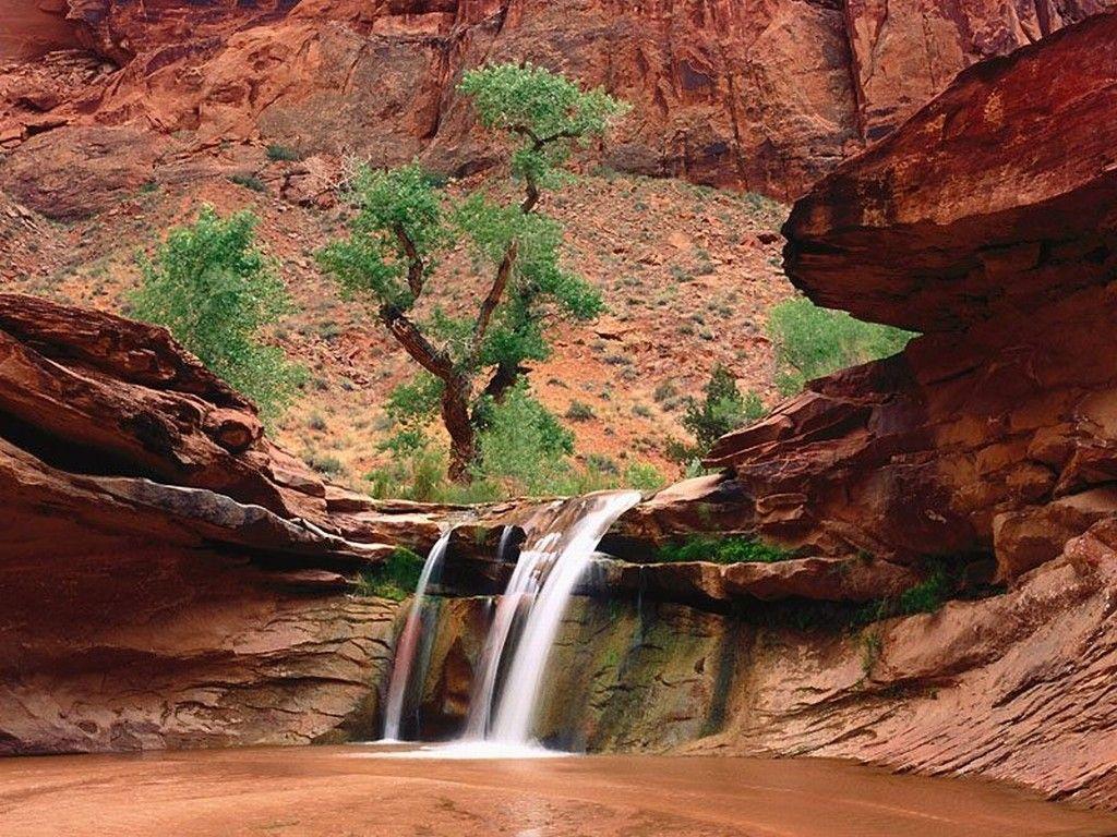 1024x768 Gulch Tag wallpaper: Canyons Gulch Coyote Desert Stream Canyon Utah