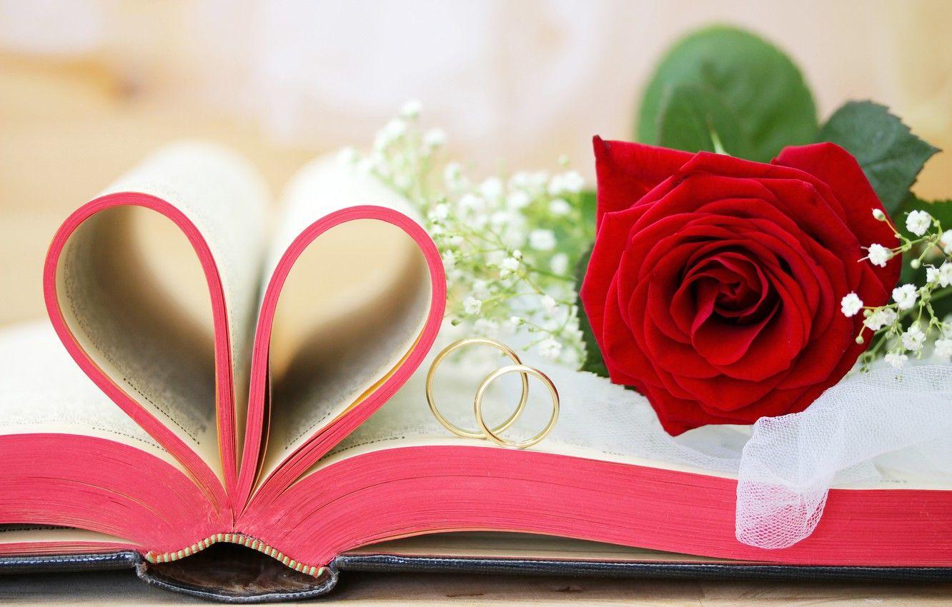 1332x850 Wallpaper rose, book, gold, wedding, flowers, engagement rings, wedding rings image for desktop, section праздники