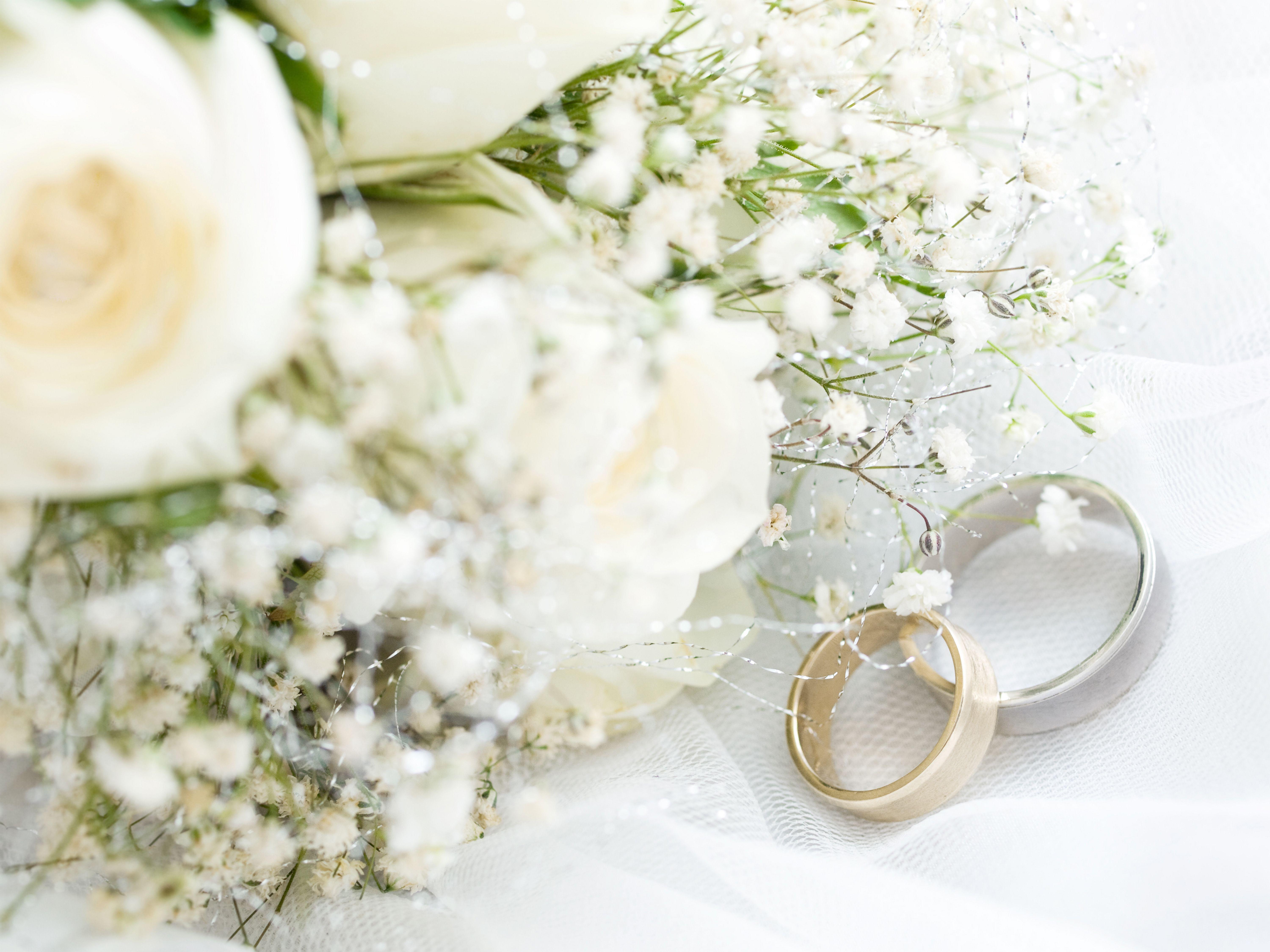 6000x4500 White Roses Wedding Background Quality Image And Transparent PNG Free Clipart
