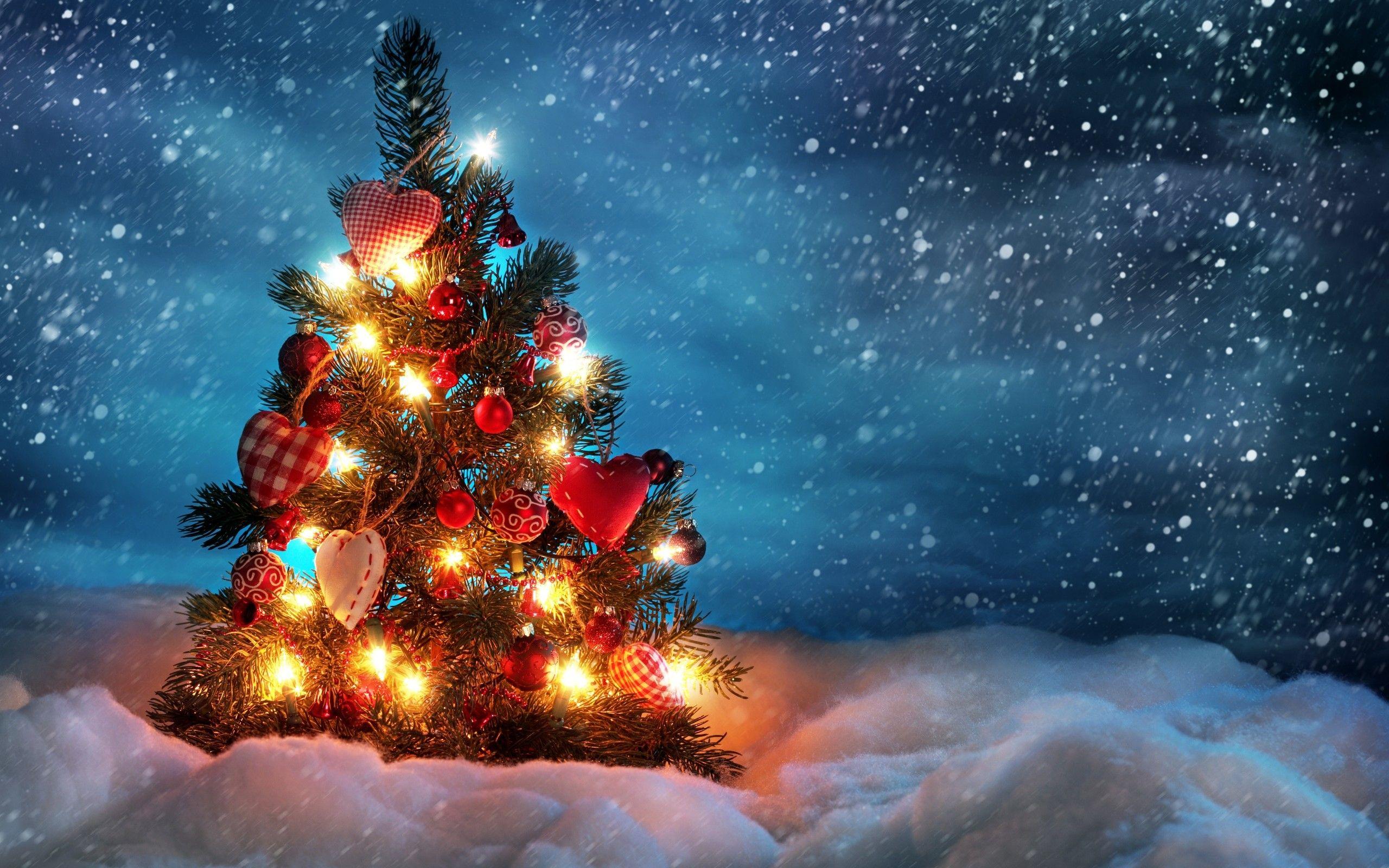 Hãy tận hưởng không khí của mùa lễ hội với hình nền cây thông Noel cực kỳ tuyệt vời. Những đốm sáng bay bổng, những cành cây xanh rực rỡ thực sự khiến cho bạn thấy hơi thở của mùa Noel ngay cả trong căn phòng nhỏ bé của mình. Hãy tải xuống hình nền HD … hôm nay để cảm nhận được niềm vui và niềm hạnh phúc của mùa lễ hội.
