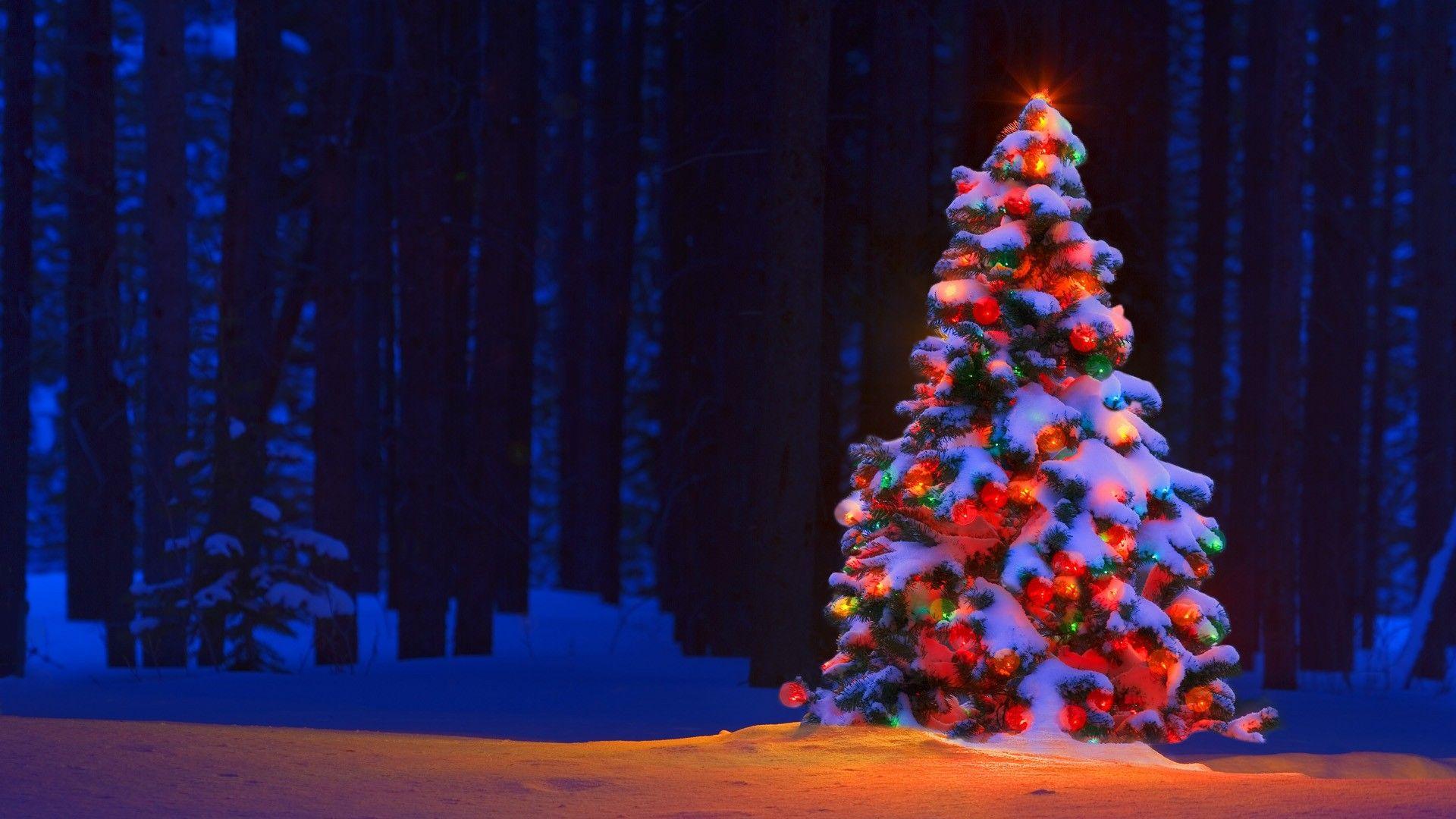 1920x1080 christmas, Tree, Lights, Bokeh, Forest, Trees, Snow, Winter, Color Wallpaper HD / Desktop and Mobile Background