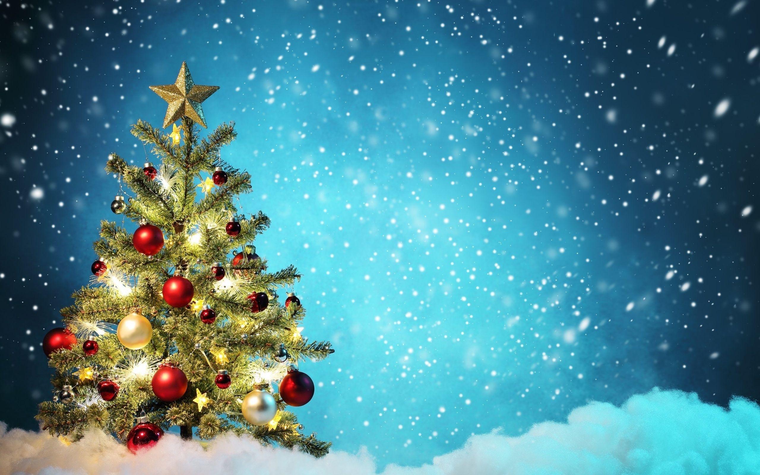 2560x1600 Christmas Tree Holiday Hd Wallpaper 2560×1600 6330. NerdiPop!