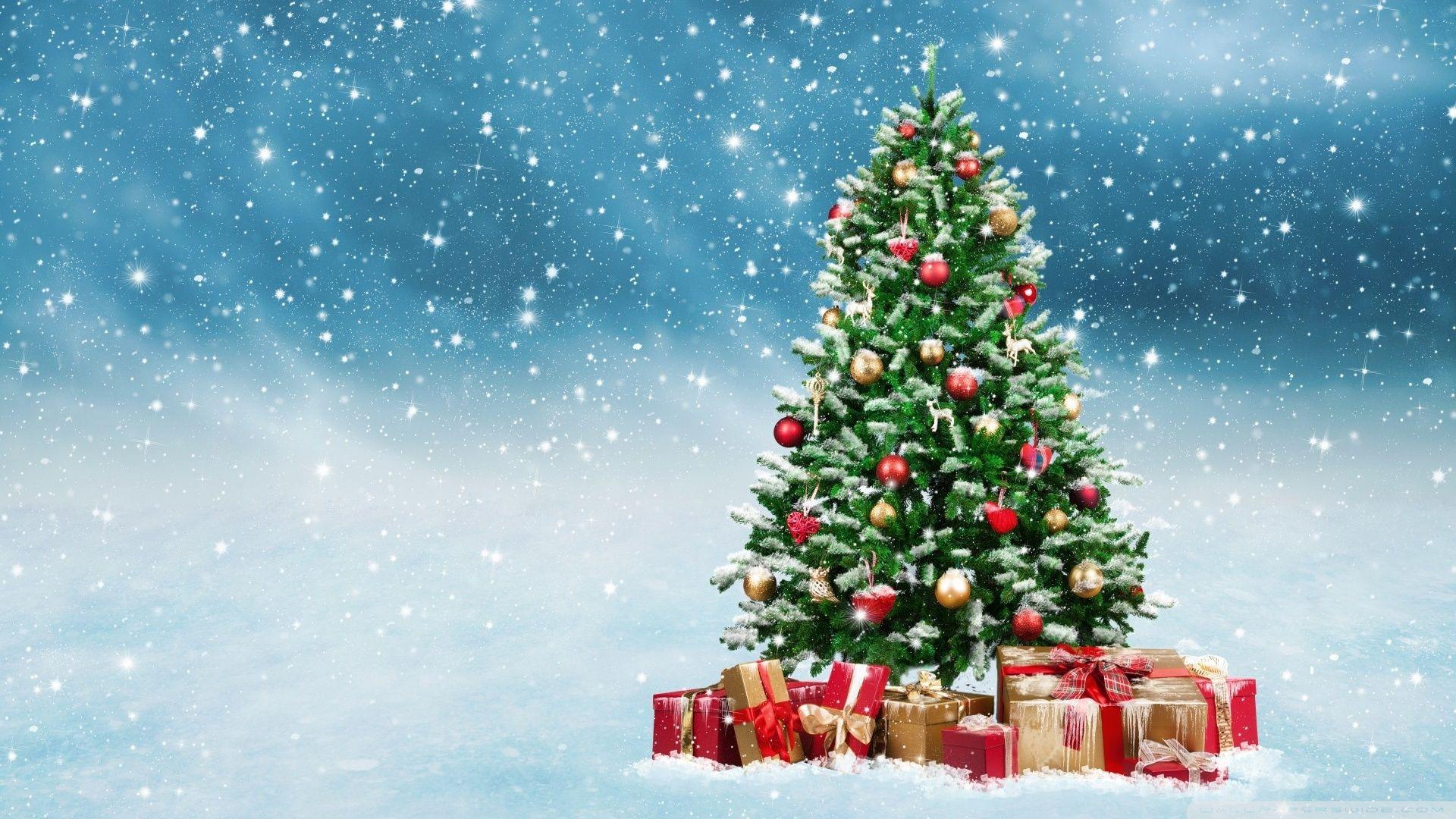 1920x1080 Beautiful Christmas Tree 2016 Ultra HD Desktop Background Wallpaper for 4K UHD TV : Tablet