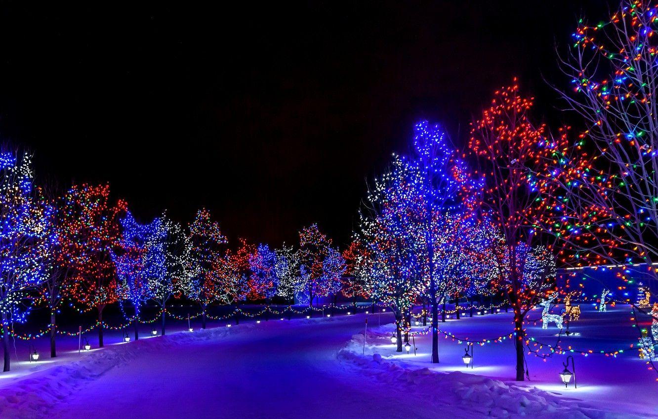1332x850 Wallpaper winter, snow, decoration, trees, night, lights, lights, holiday, street, Christmas, Happy New Year, trees, nature, night, winter, snow image for desktop, section природа