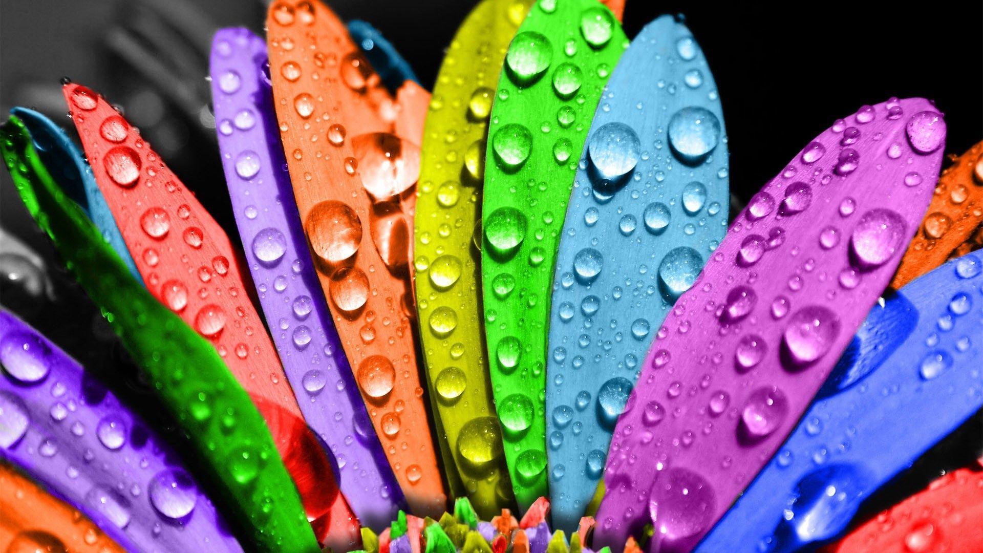 1920x1080 Cute Colorful Wallpaper 15113