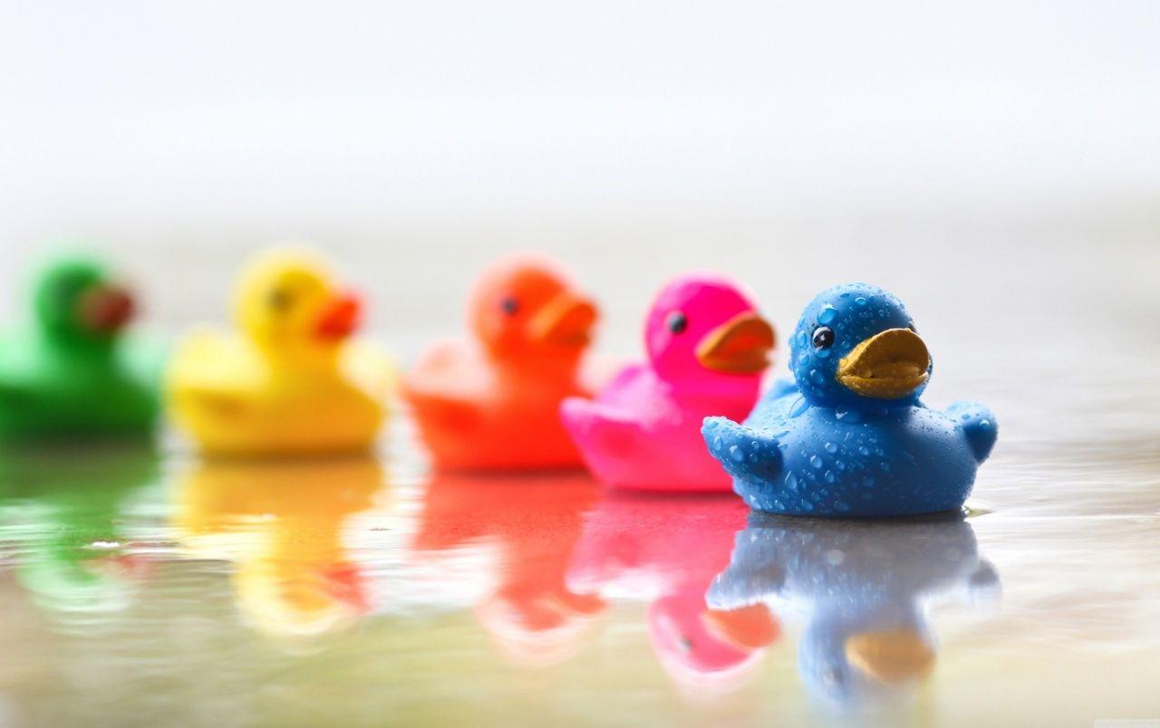 1280x804 Cute Colourful Rubber Ducks wallpaper. Cute Colourful Rubber Ducks