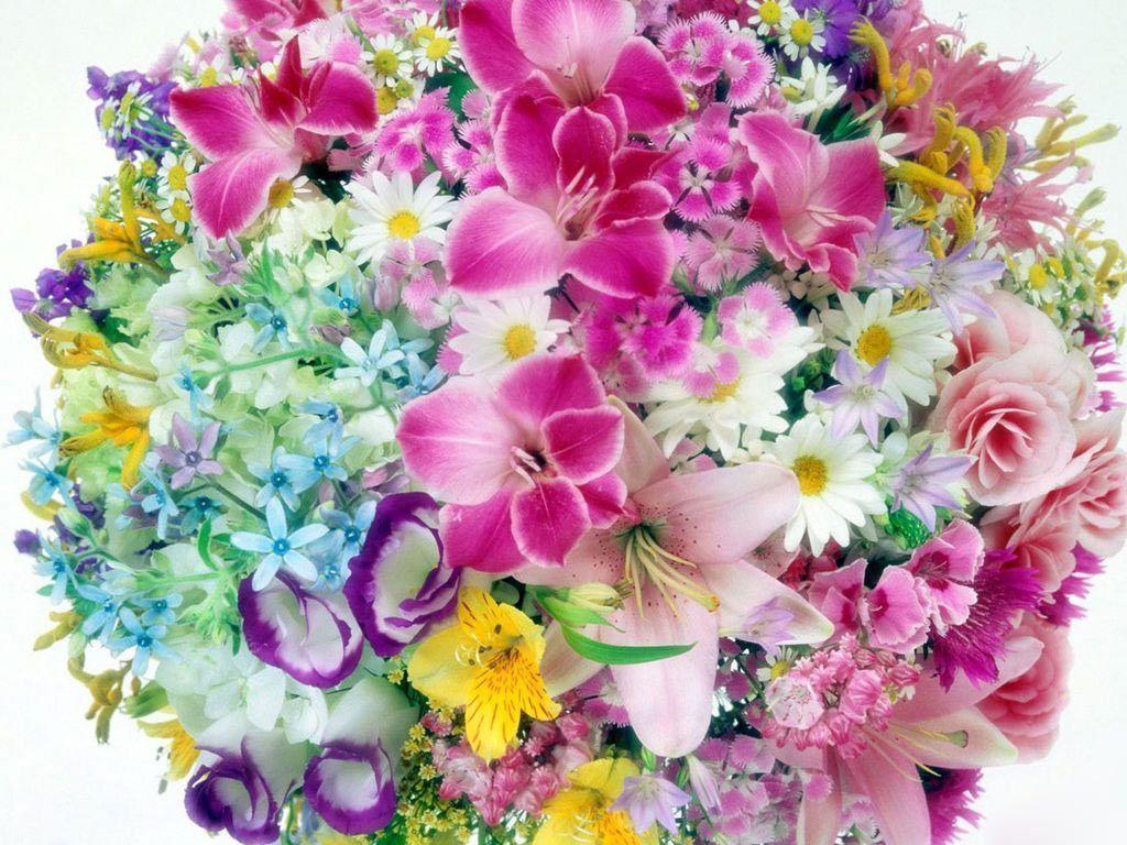 1024x768 Flowers Wallpaper Desktop