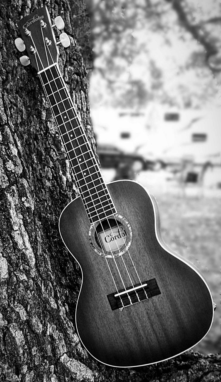 Ukulele Wallpapers Top Free Ukulele Backgrounds WallpaperAccess