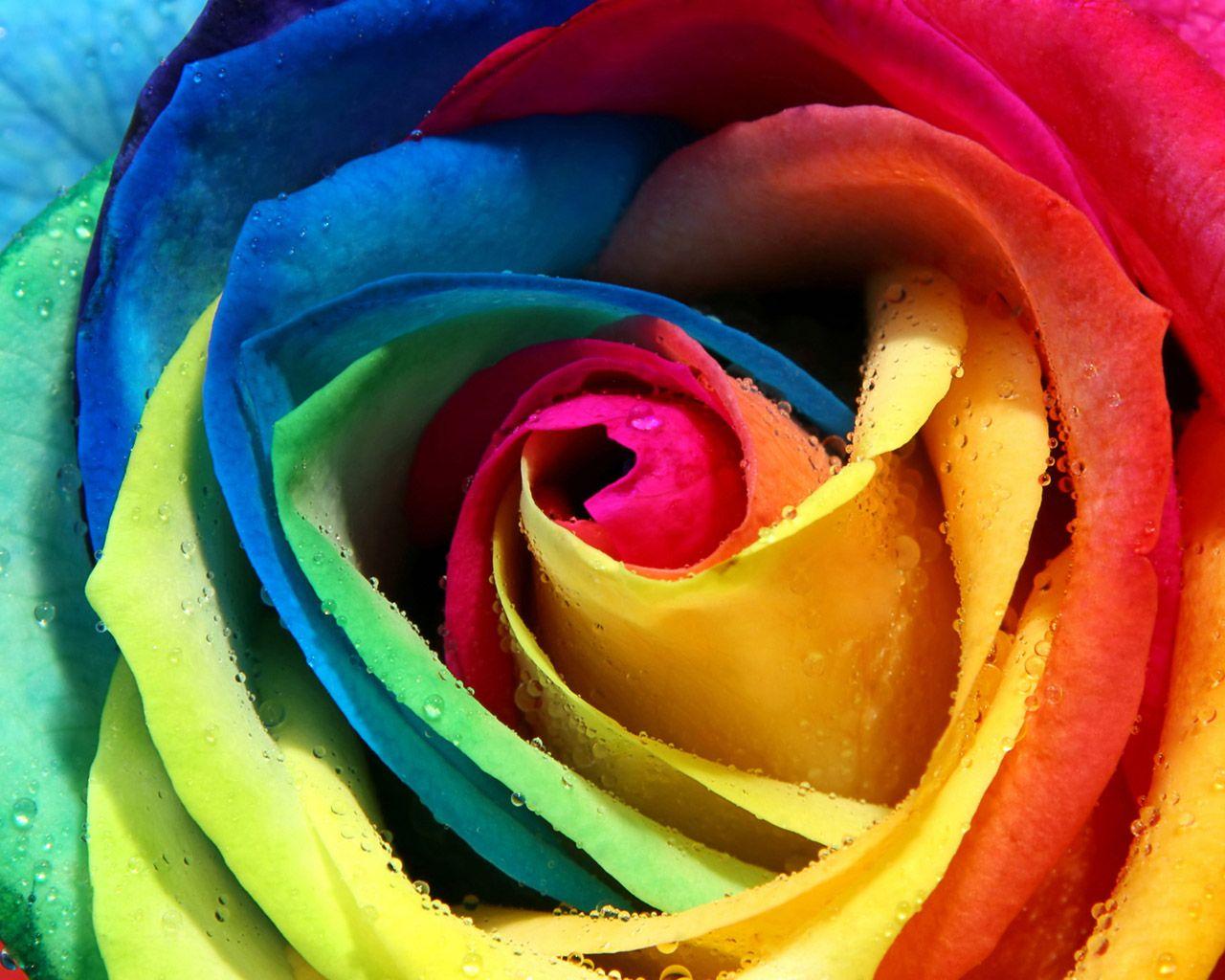 1280x1024 Colourful Wallpaper, Cute Colorful Image Pc